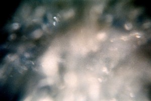 Itchy shutter finger in the water