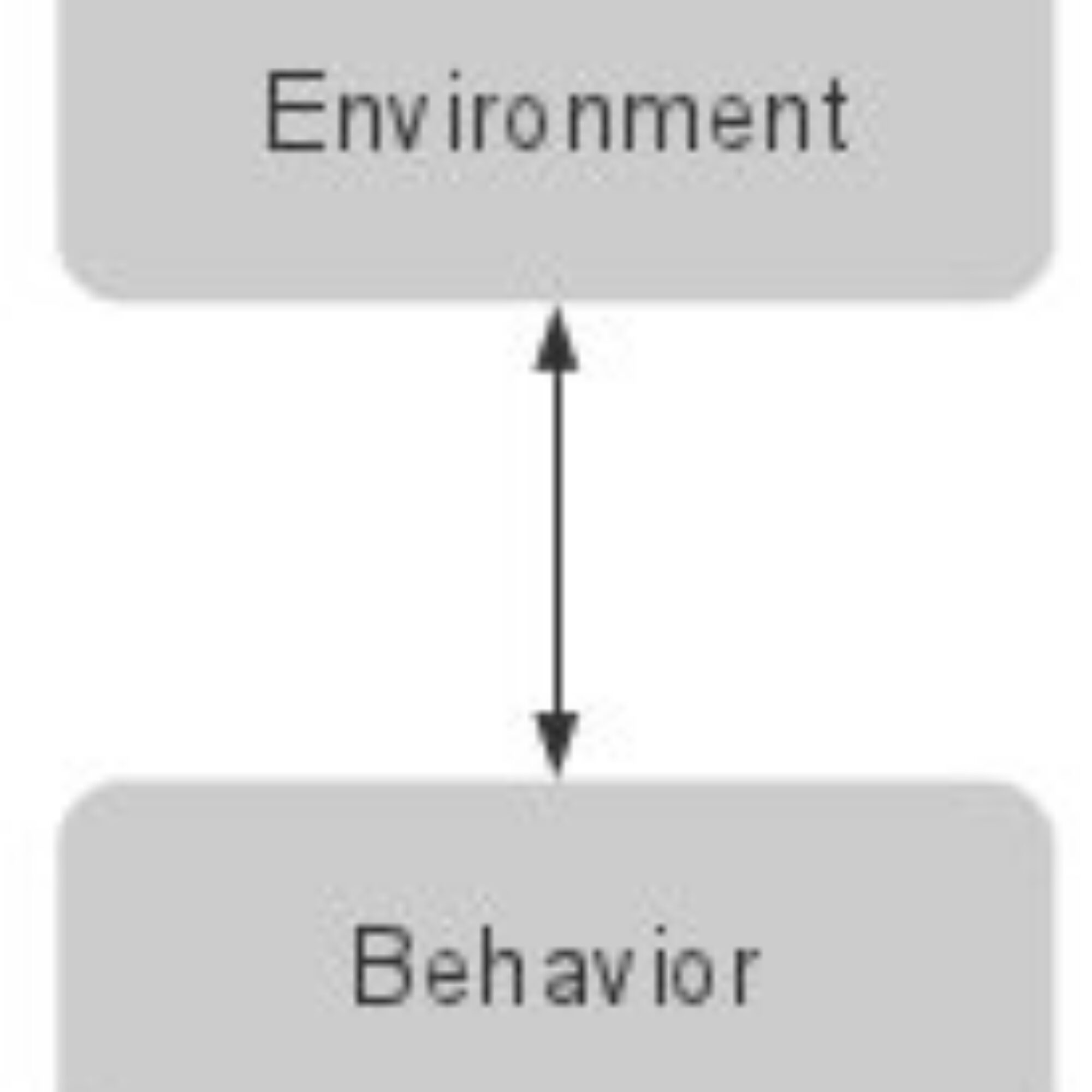 The Model: environment and behavior