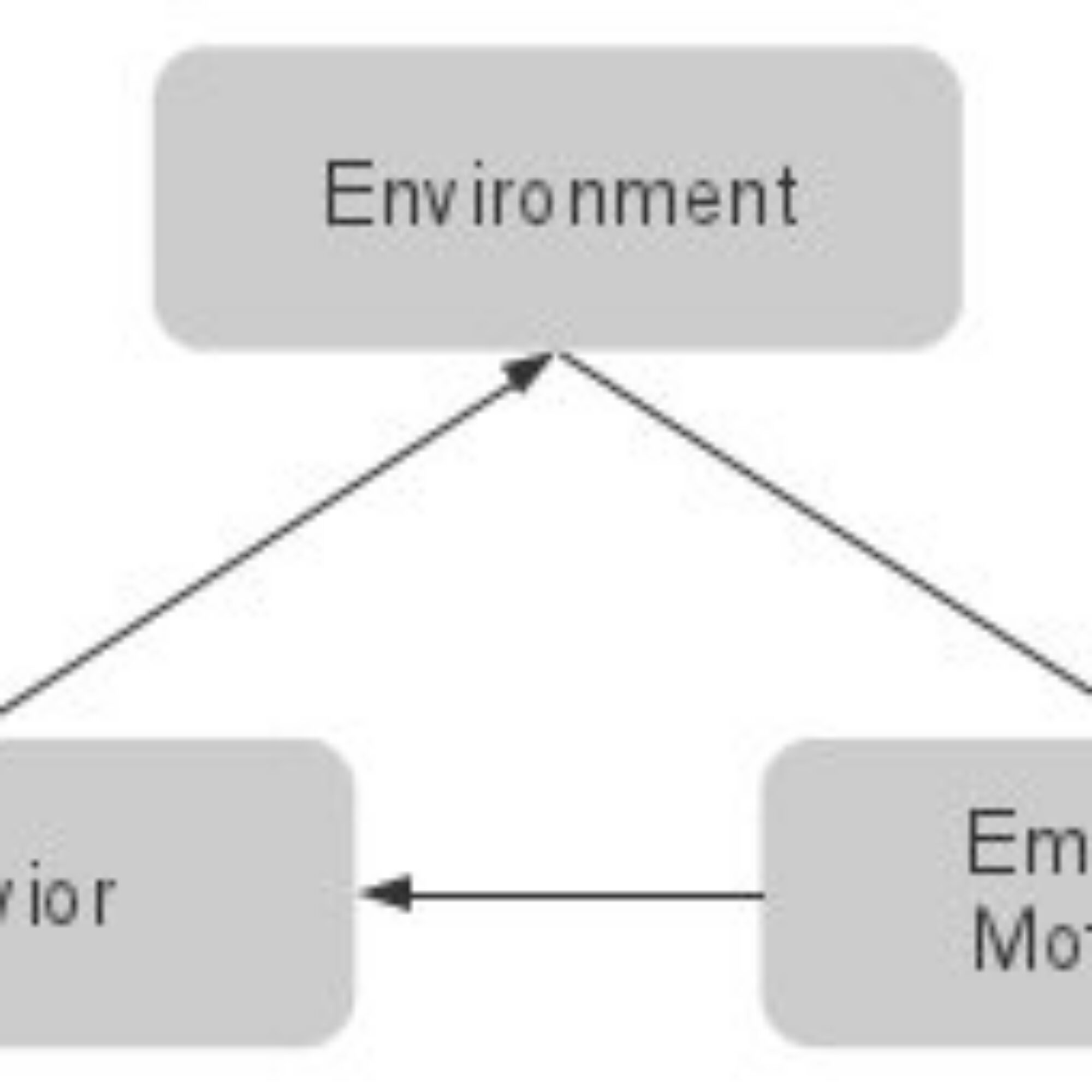The Model: adding emotions