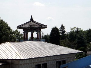 The North Korean Demilitarized Zone (16)