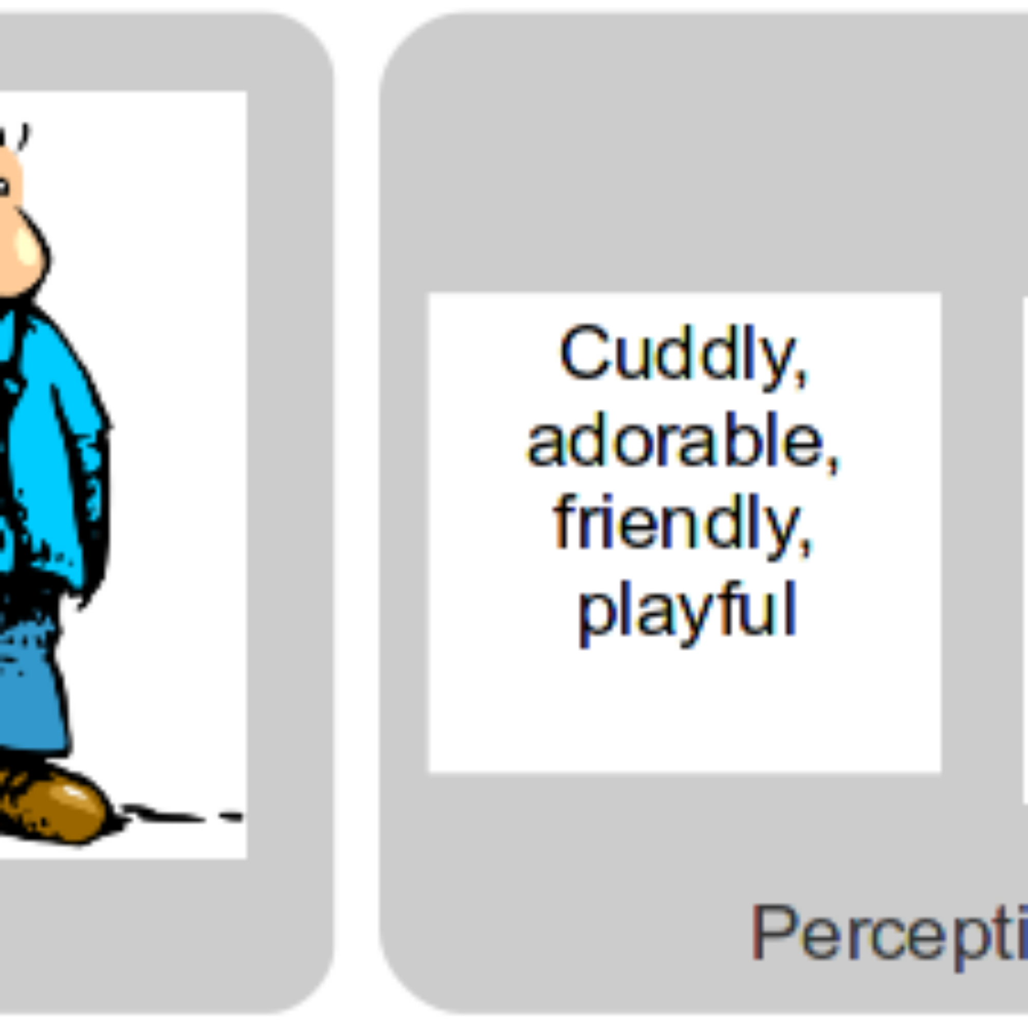 Examples of models: “beliefs and expectations filter your perception”