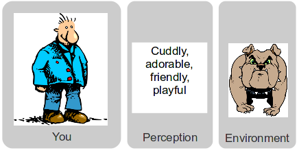 Active model (2) Active model (2)