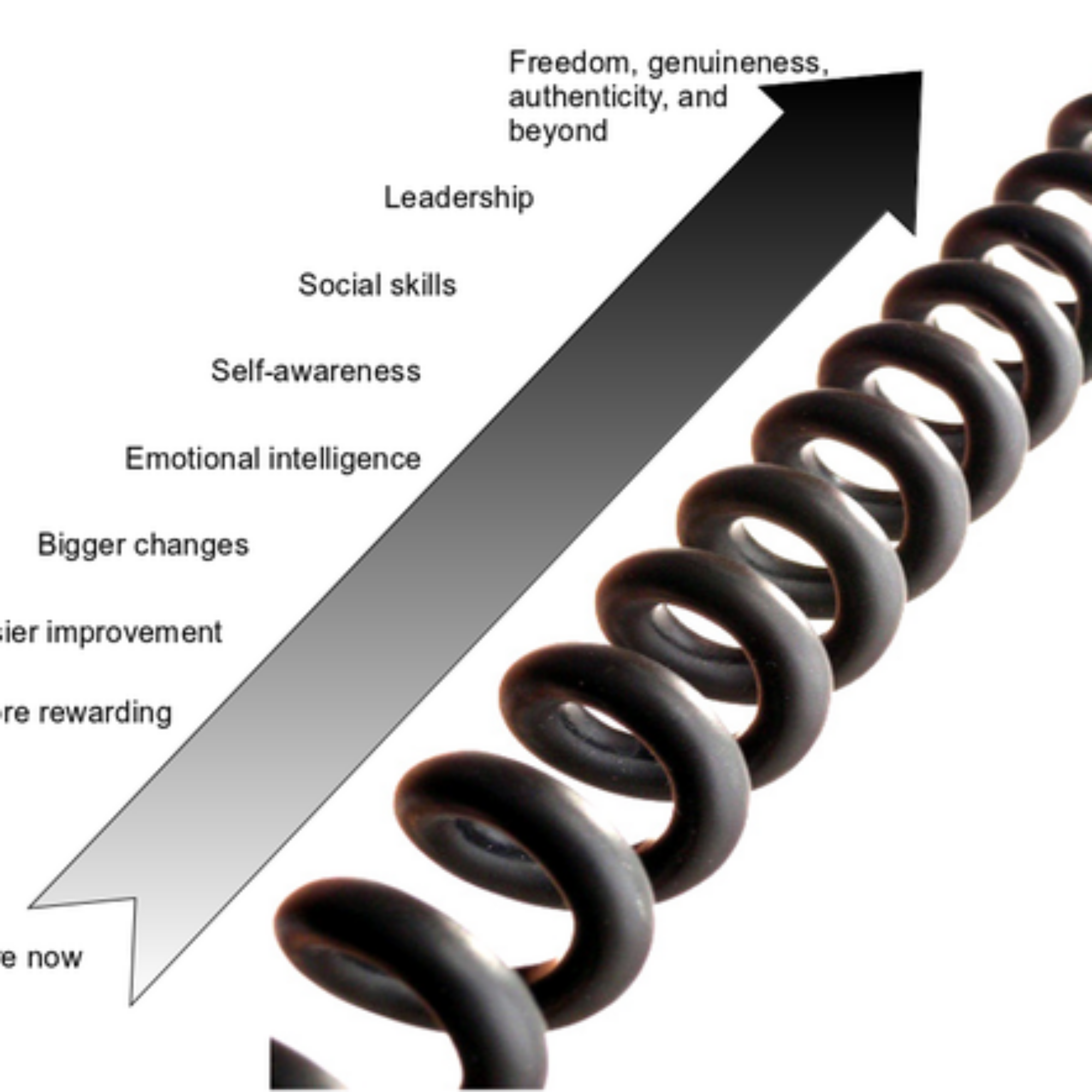 The Method: improving your life as much as you want is all based on one cycle