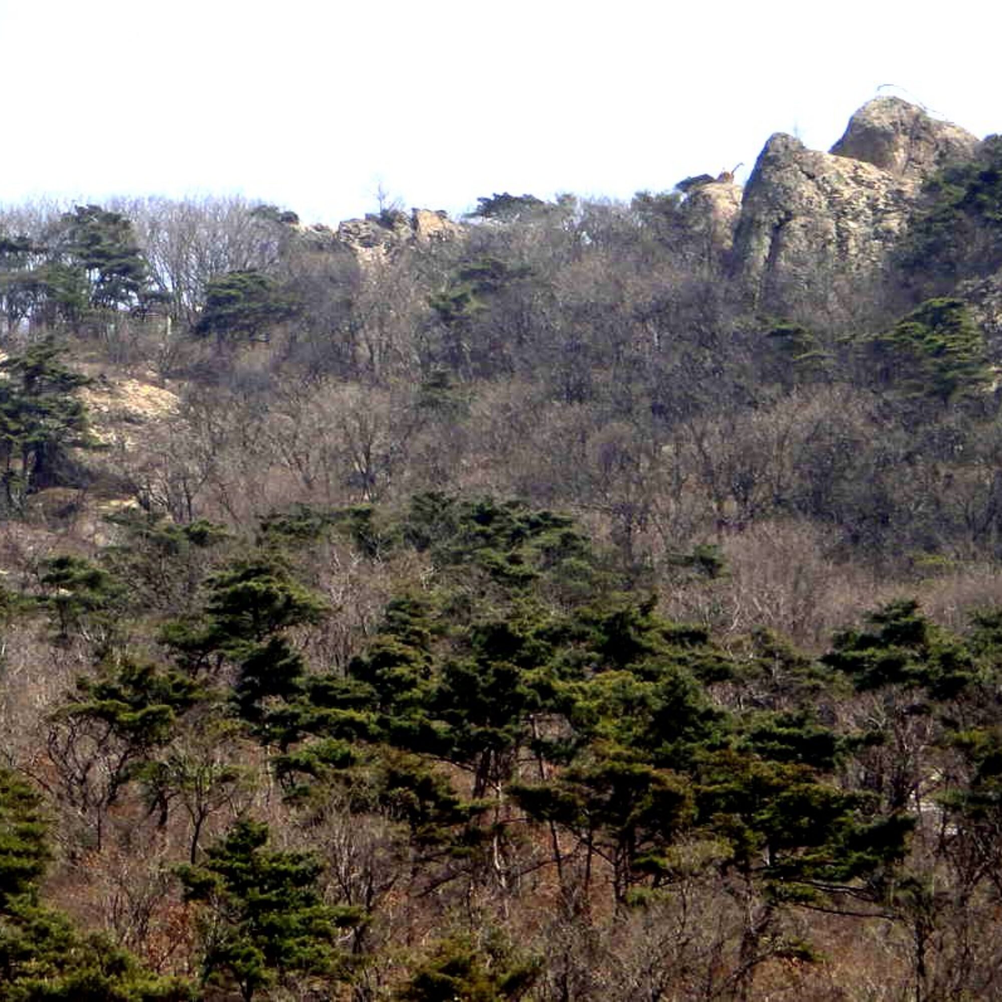 Natural beauty in North Korea, part 1: mountains