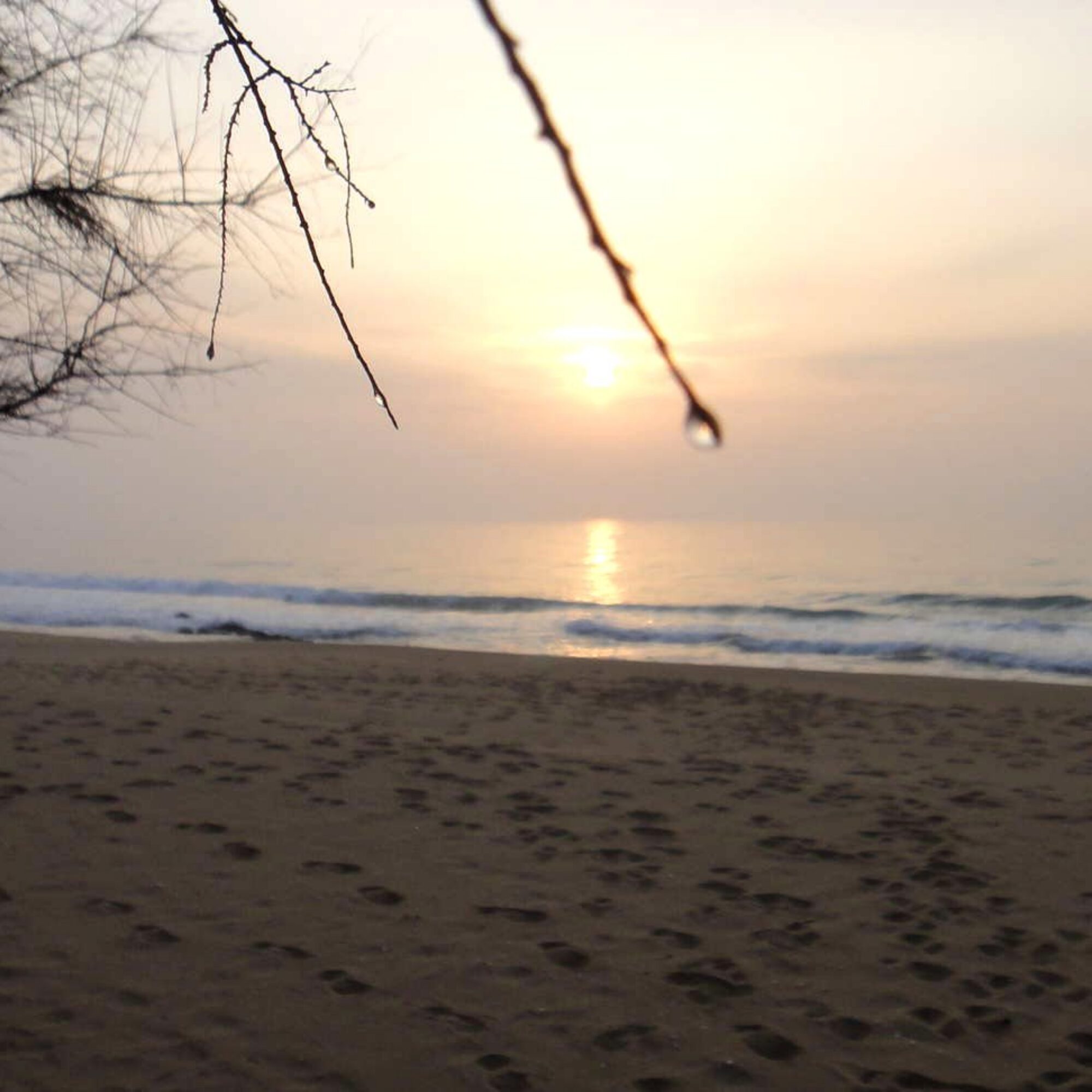 Natural beauty in North Korea, part 2: beaches