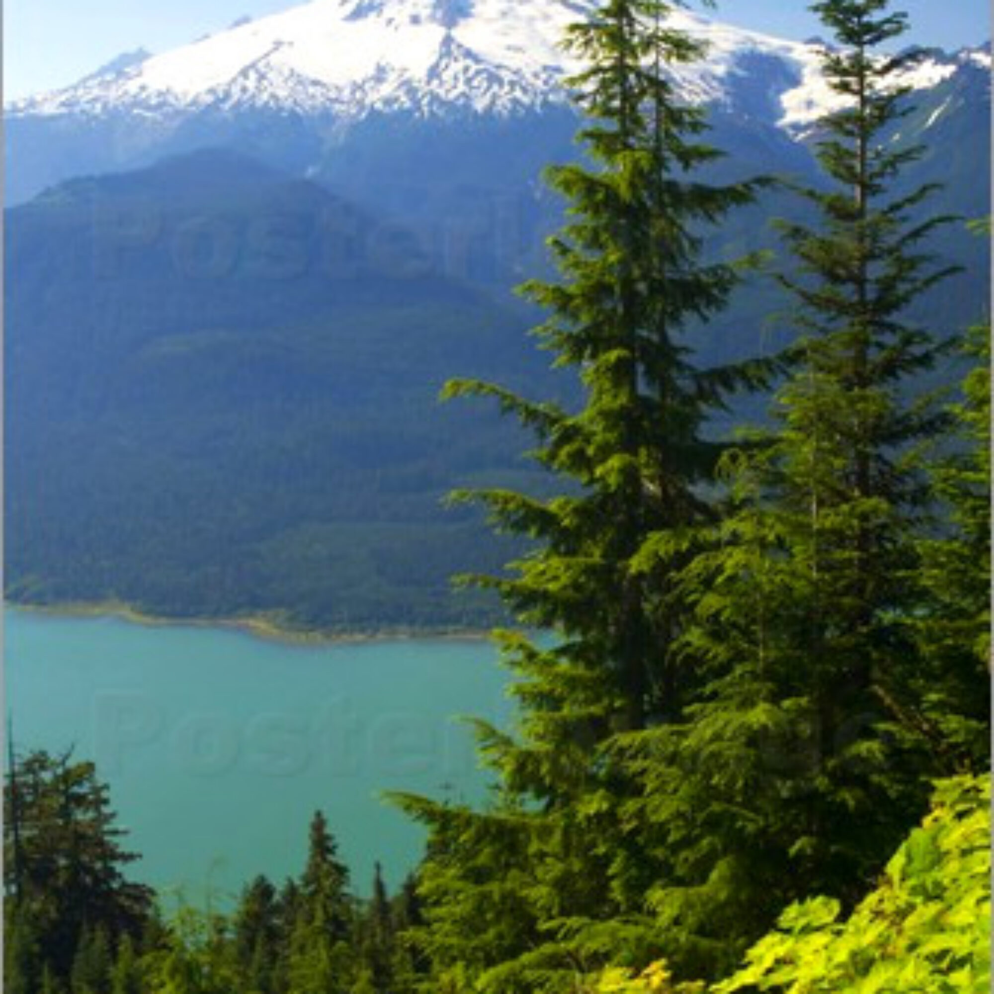 “Bucket list” means craving. You’ll never be satisfied with other places until you’re satisfied where you are.