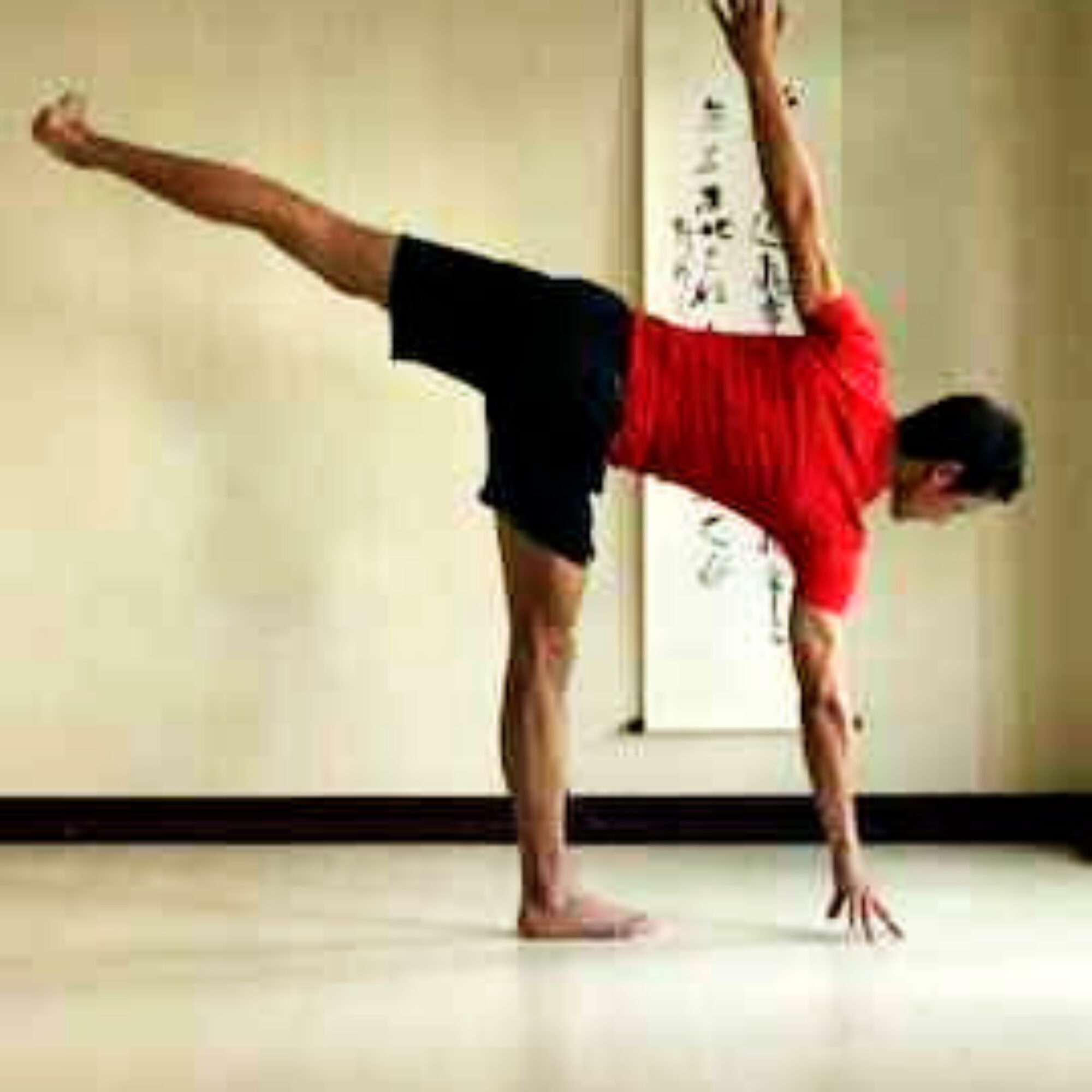 Yoga, attention, nuance, and subtlety