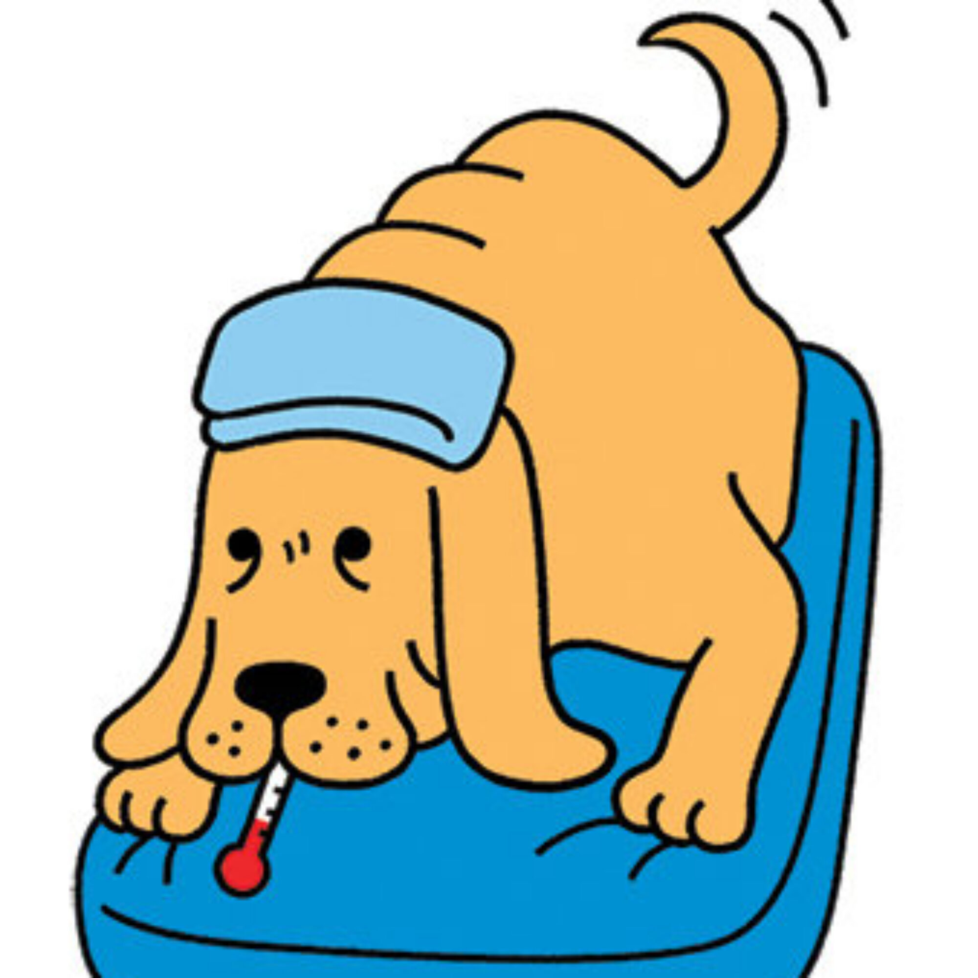 Non-judgmental Ethics Sunday: How Much Can We Spend to Keep Our Dog Alive?