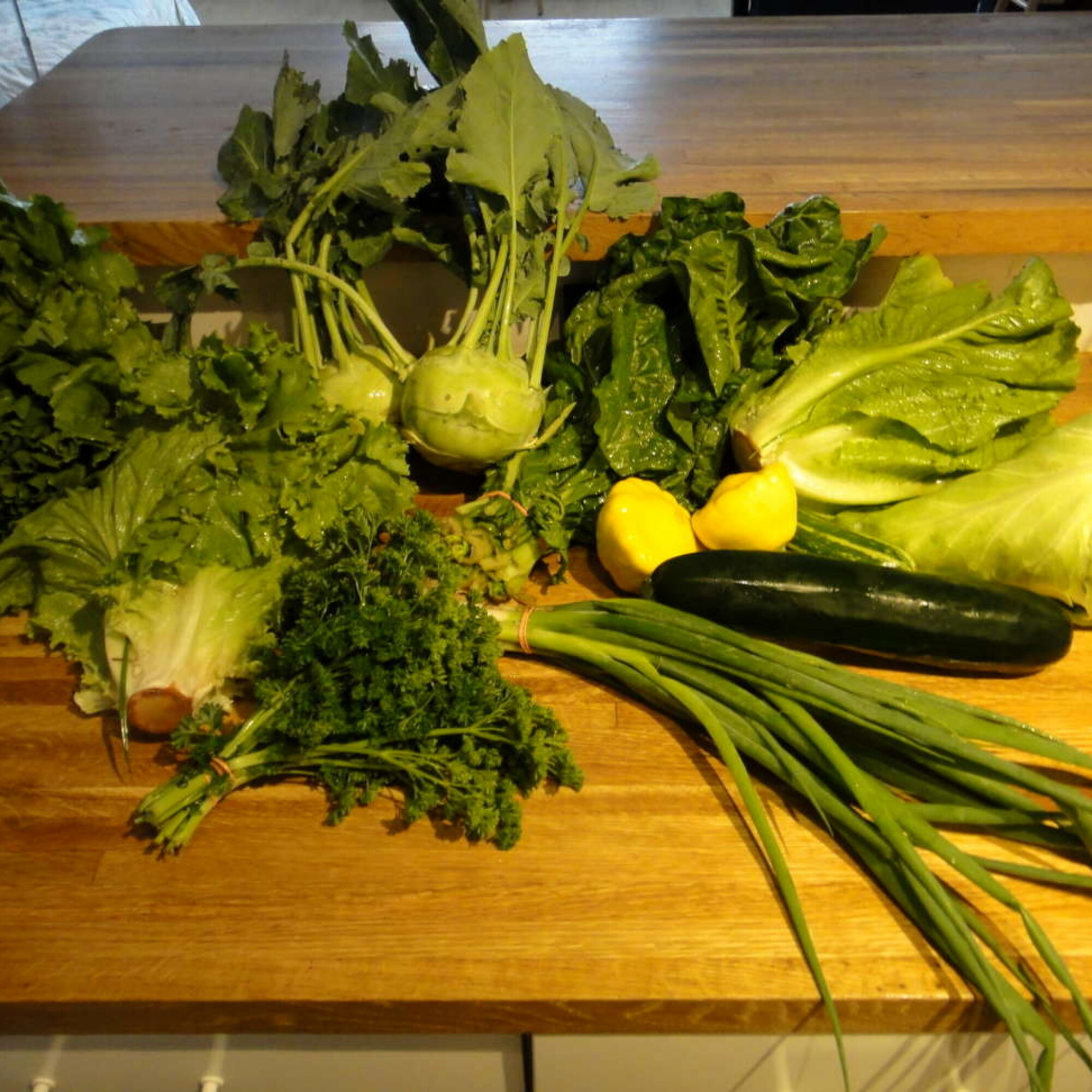 My famous no-packaging vegetable stew formula, take 1