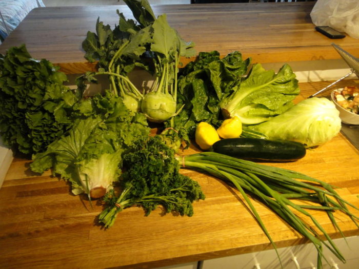 fresh vegetables from the farm