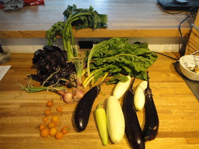 fresh vegetables from the farm