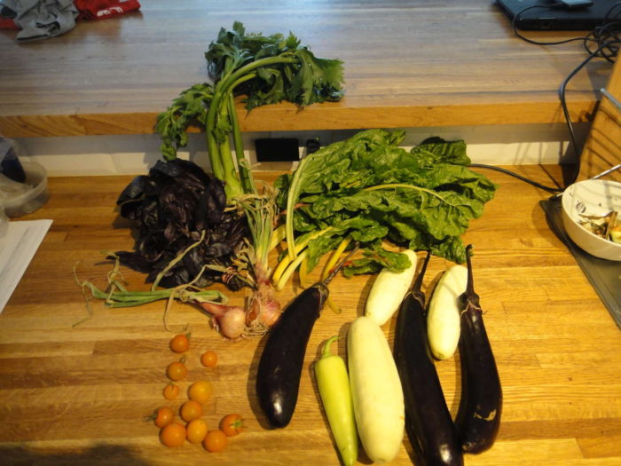 fresh vegetables from the farm