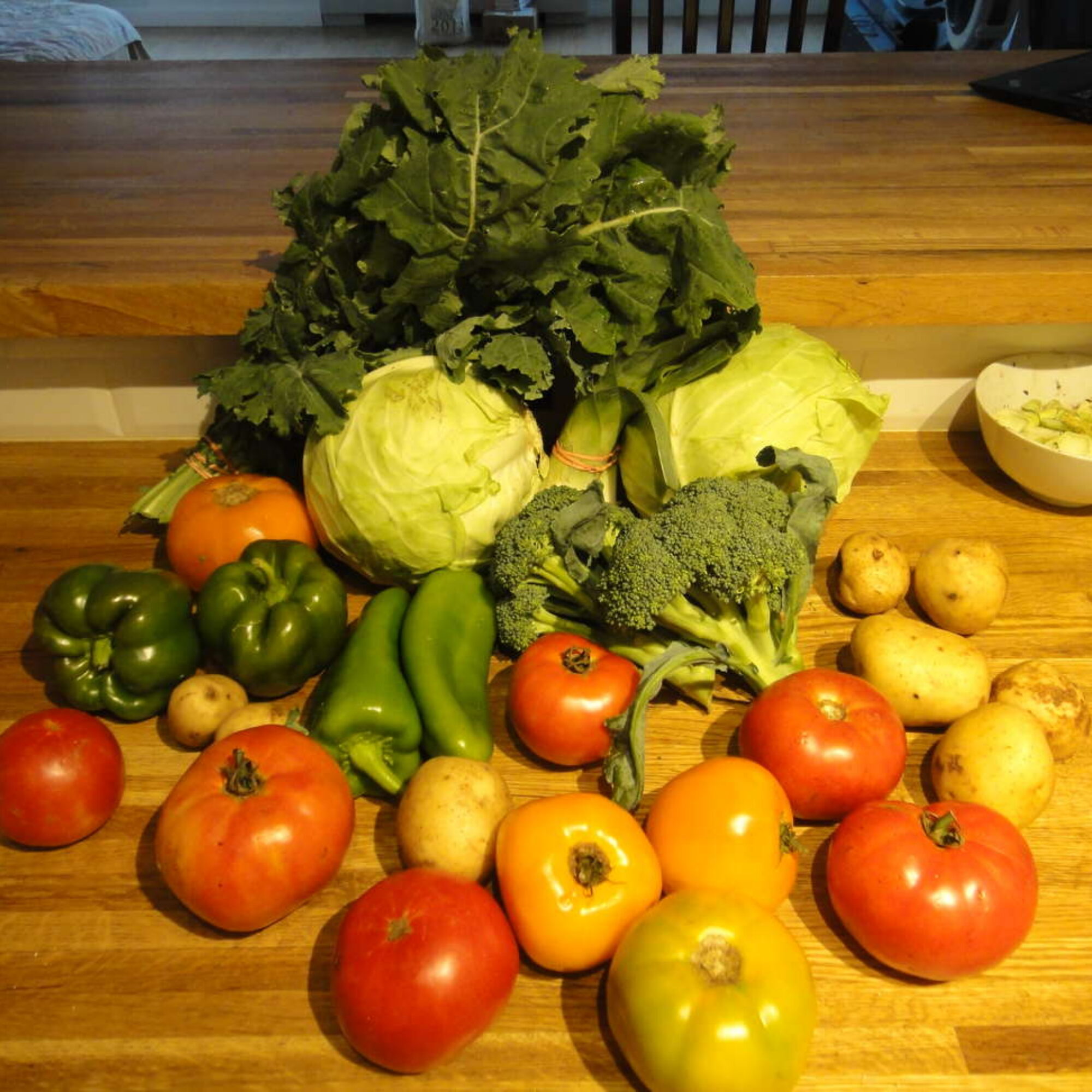 Reviews of my famous no-packaging no-recipe vegan stews