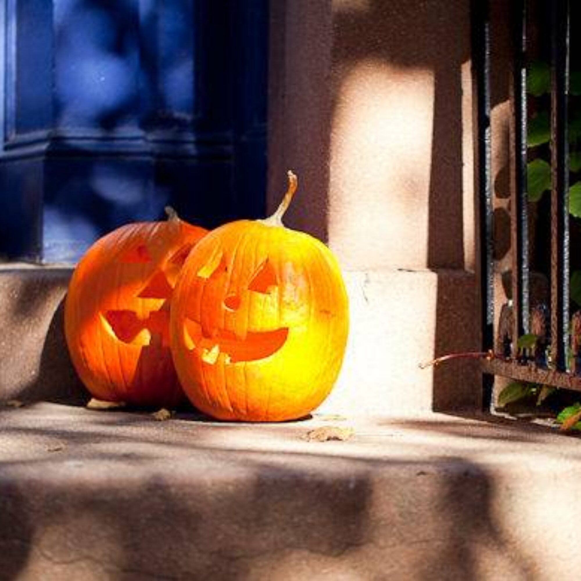 Free pumpkins!