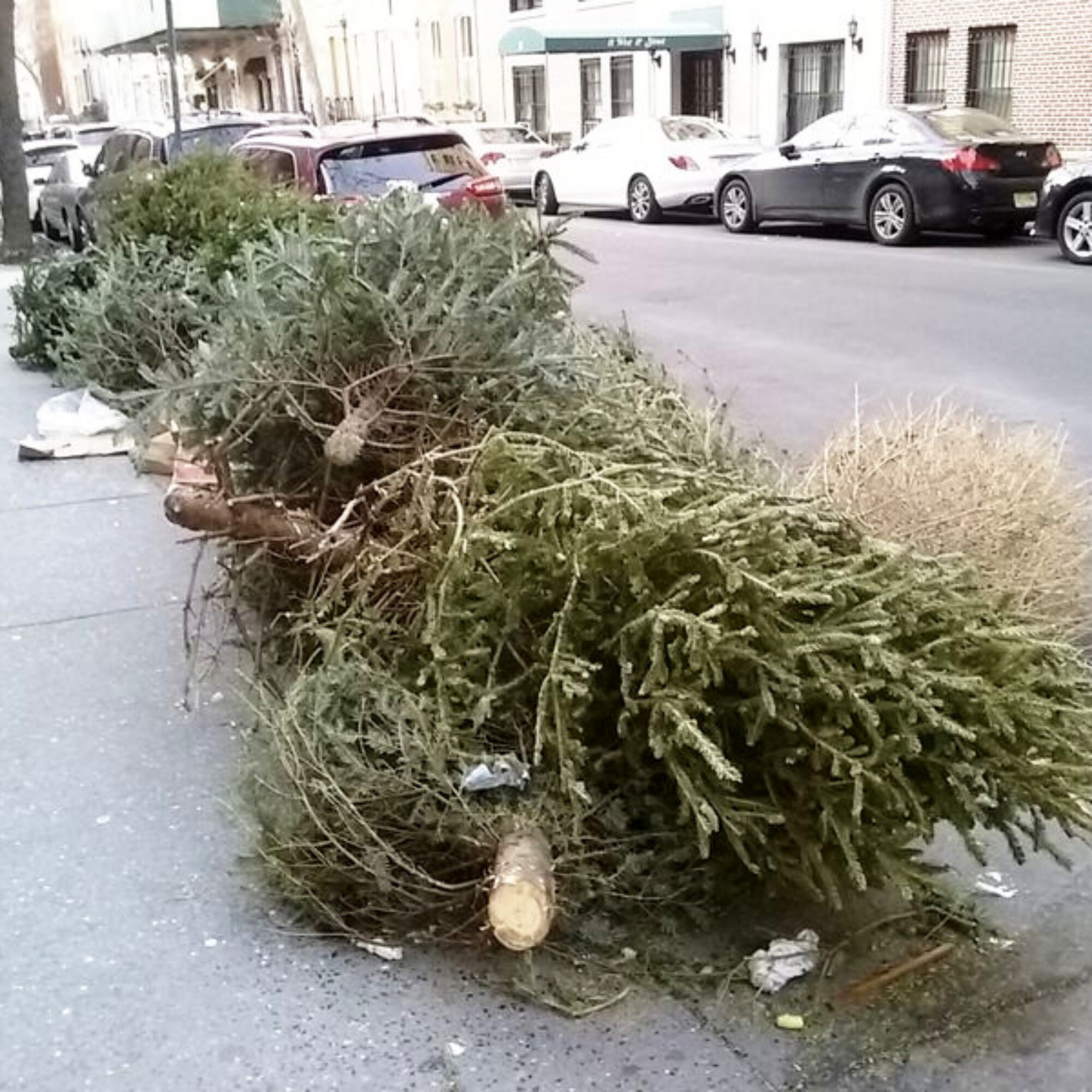 Does holiday joy and family require chainsaws and landfills?