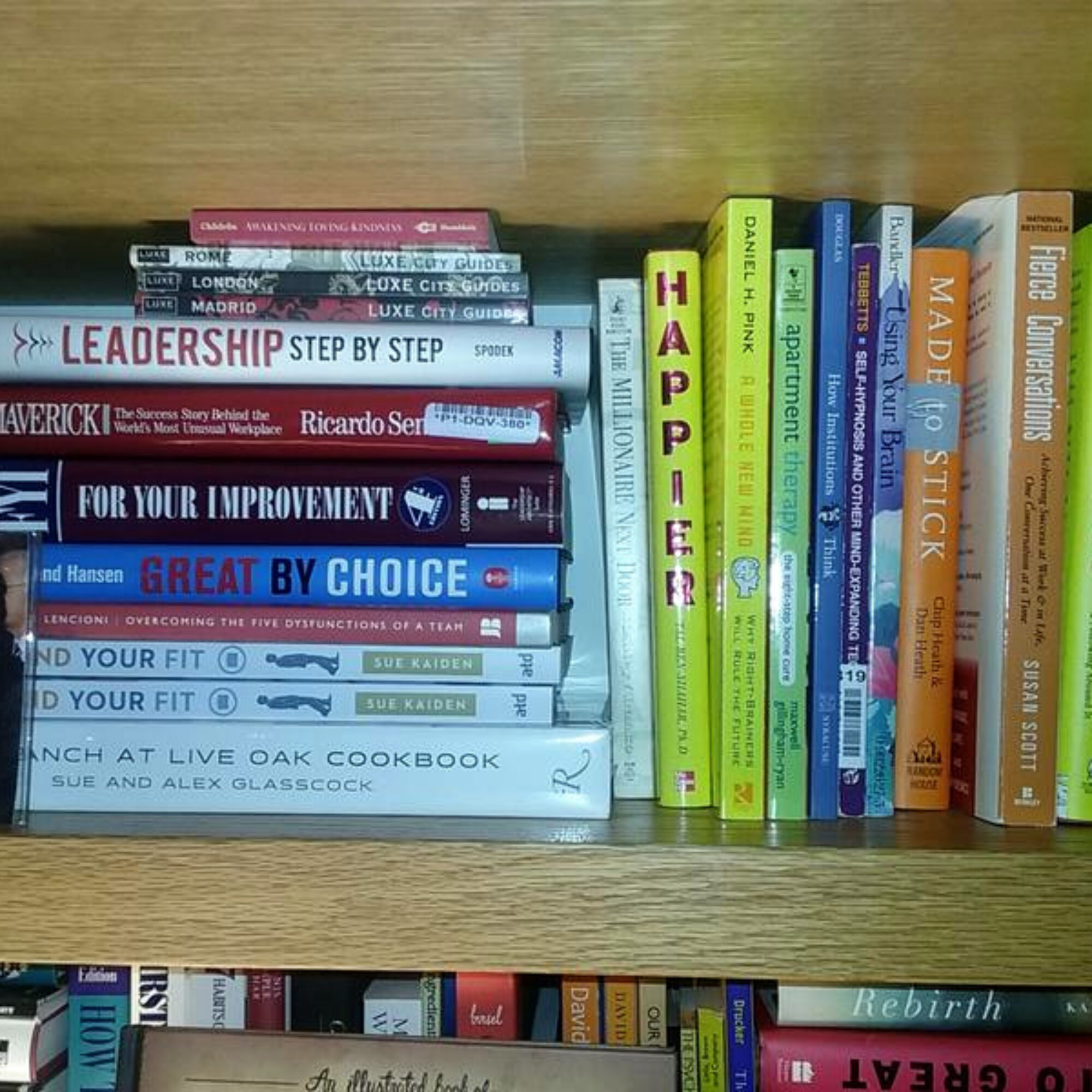 Seeing Leadership Step by Step at a party on the host’s bookshelf!
