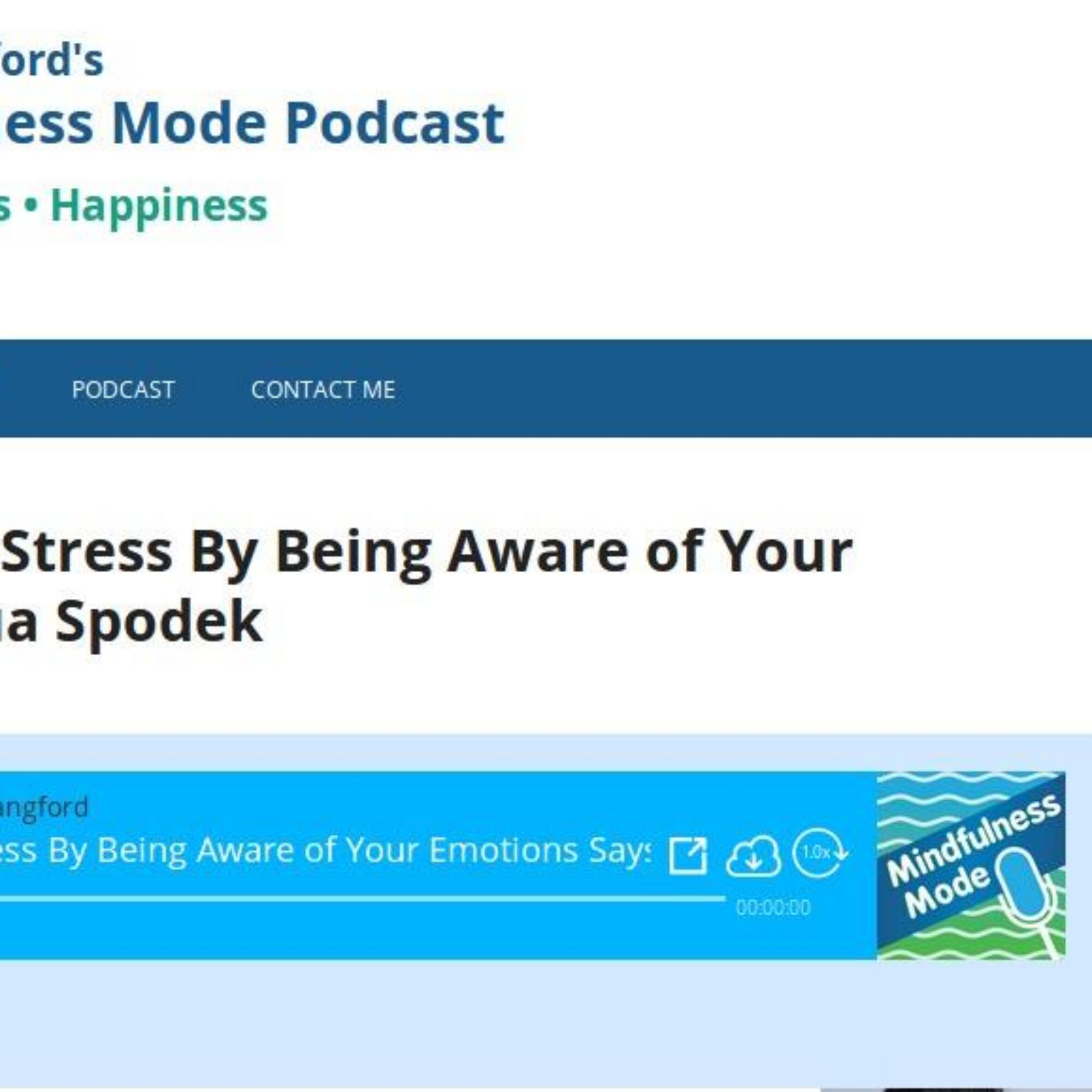 Experience Less Stress By Being Aware of Your Emotions: The Mindfulness Mode podcast interview with Bruce Langford