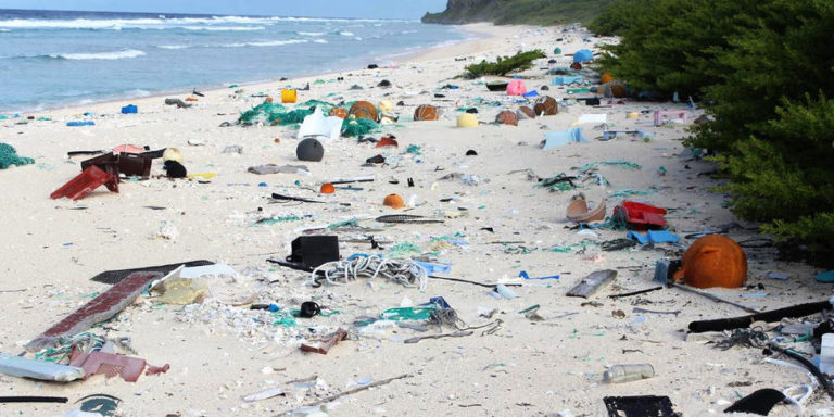 Read more about the article Leadership and the Environment Podcast episode #3: Freedom, empathy, garbage, and compost