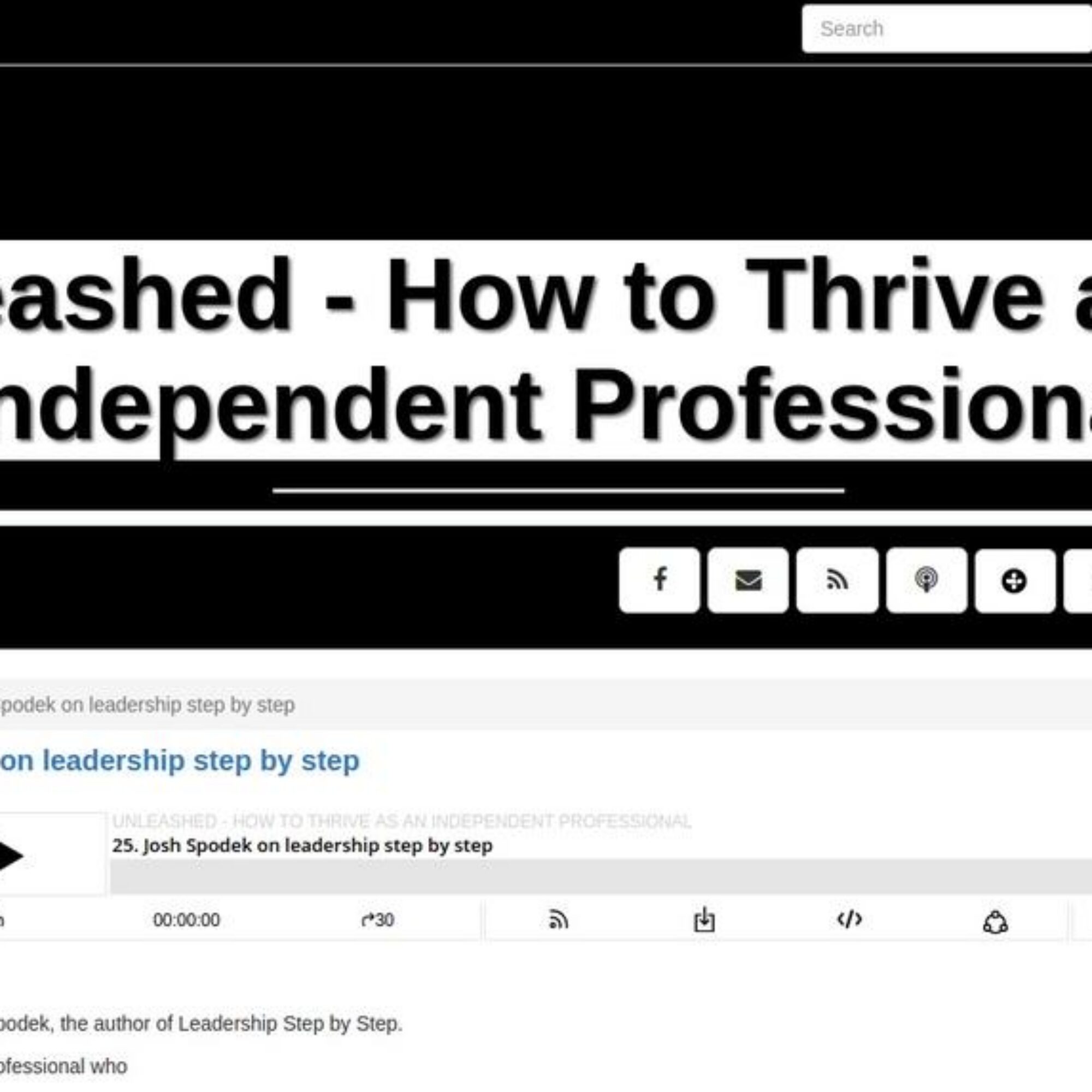 Unleashed – How to Thrive as an Independent Professional, Will Bachman’s elite podcast