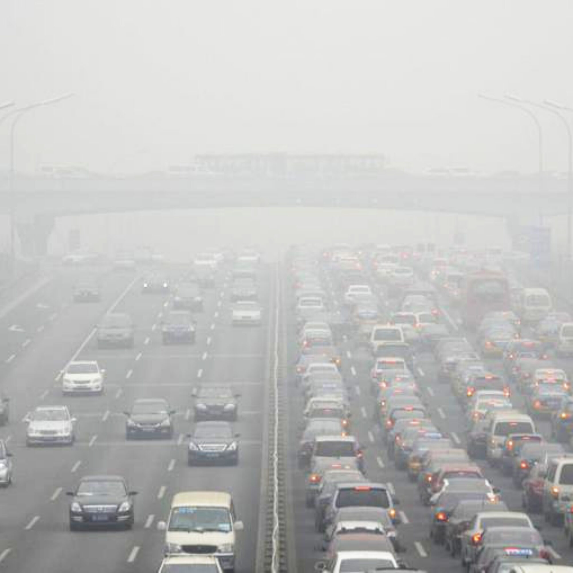 Examples of cultural reversals: We can stop destroying the environment