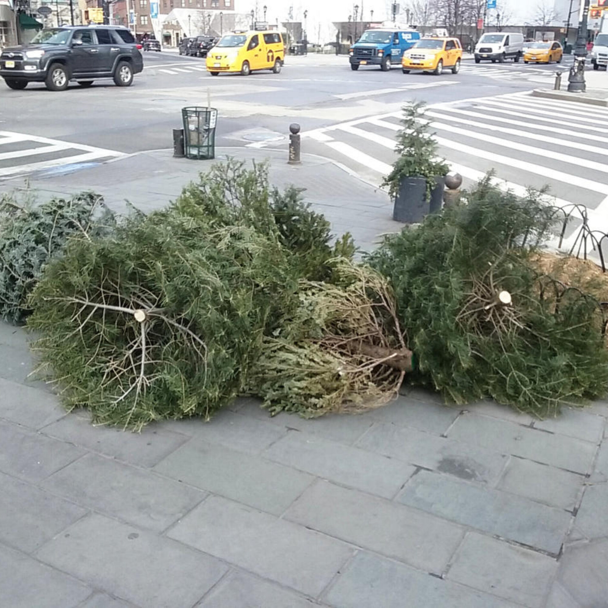 How badly do you need to chop down forests?