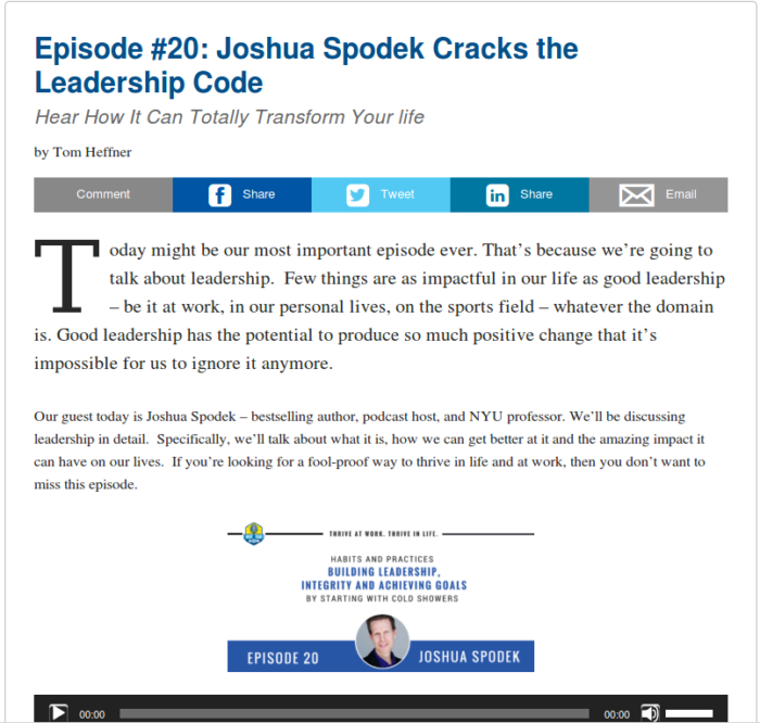 Joshua Spodek on Tom Heffner's Next Year Now podcast