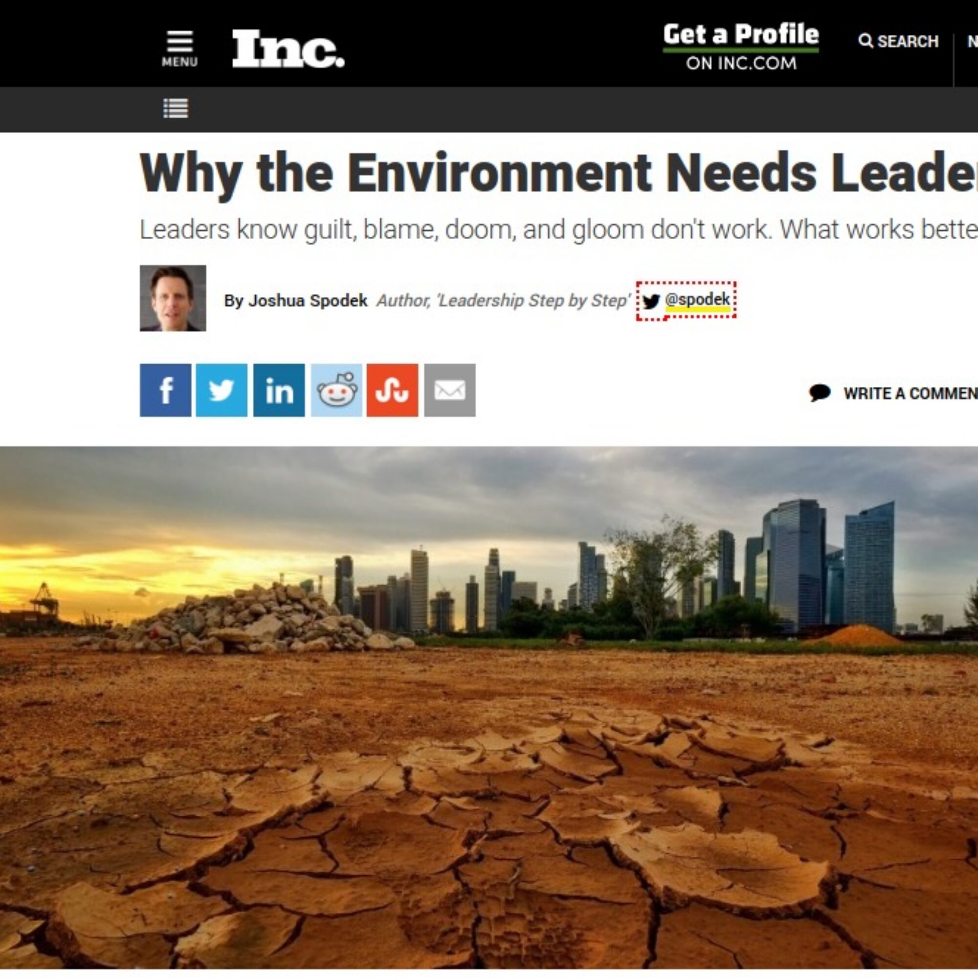 Why the Environment Needs Leadership