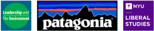 LatE Patagonia Liberal Studies logos