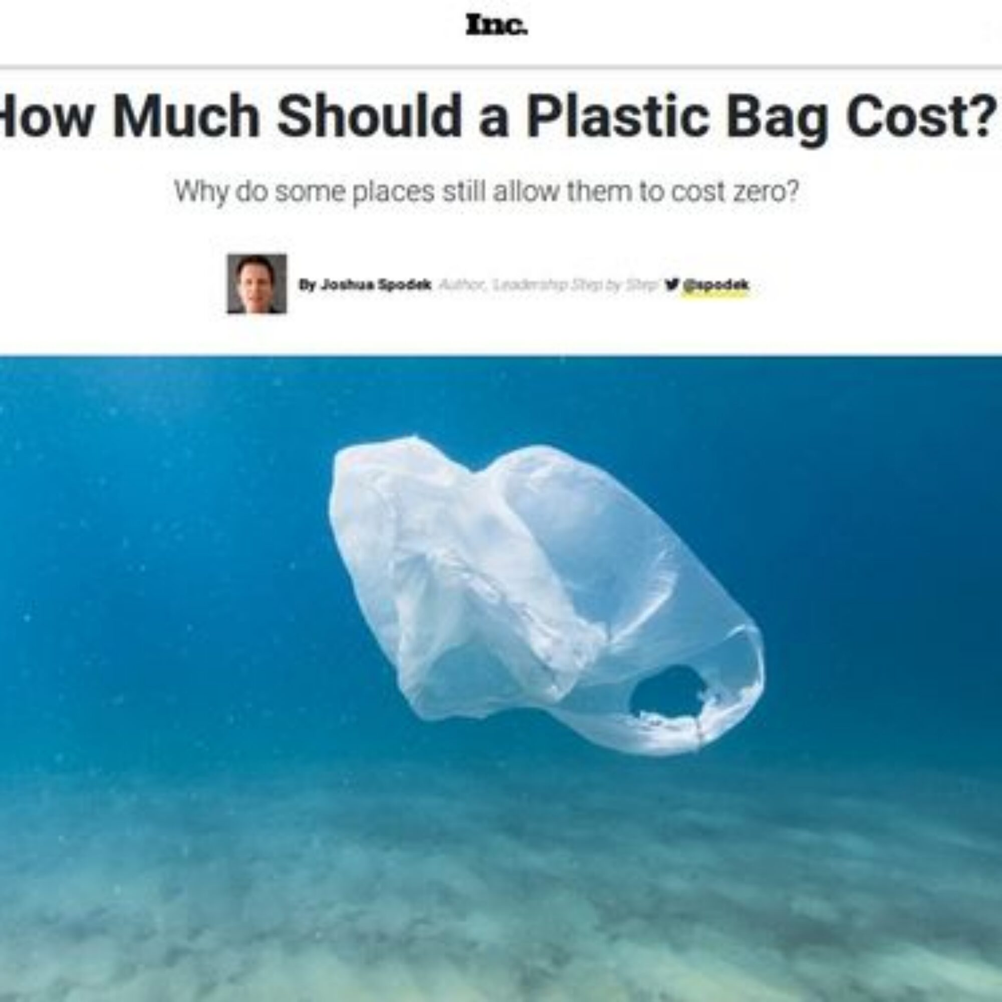 How Much Should a Plastic Bag Cost?