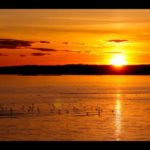 Why consistency? Self-awareness and integrity