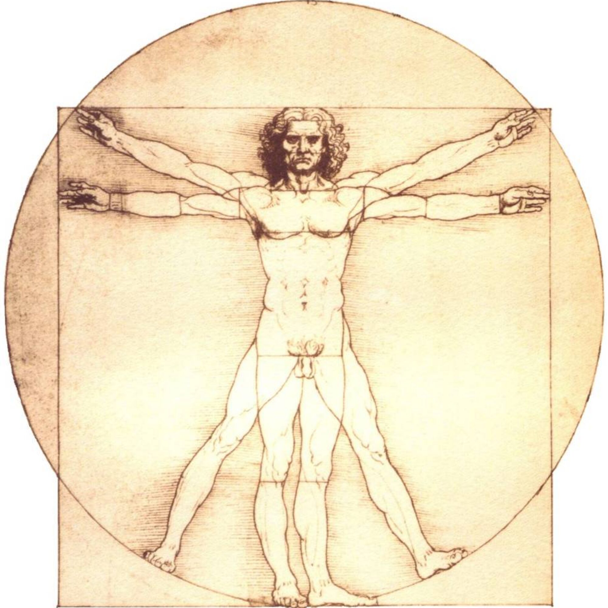 Is theory just reflection?