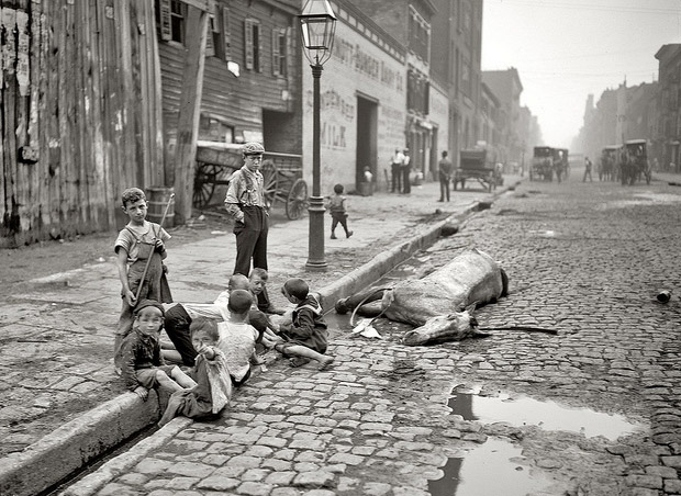 New York City 1895: children play by a dead horse