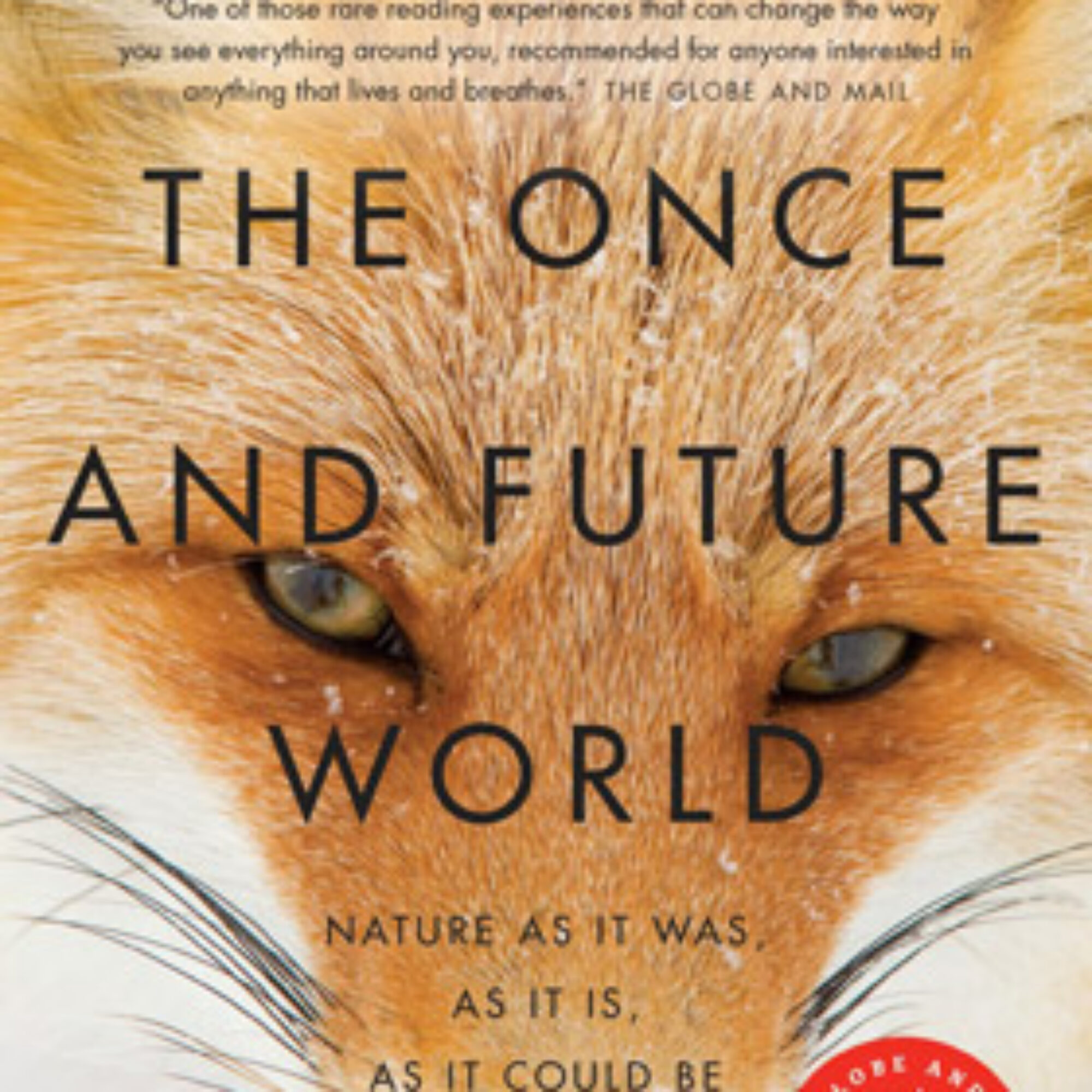 Your Daily Environment 009, The Once and Future World, 8/9/19
