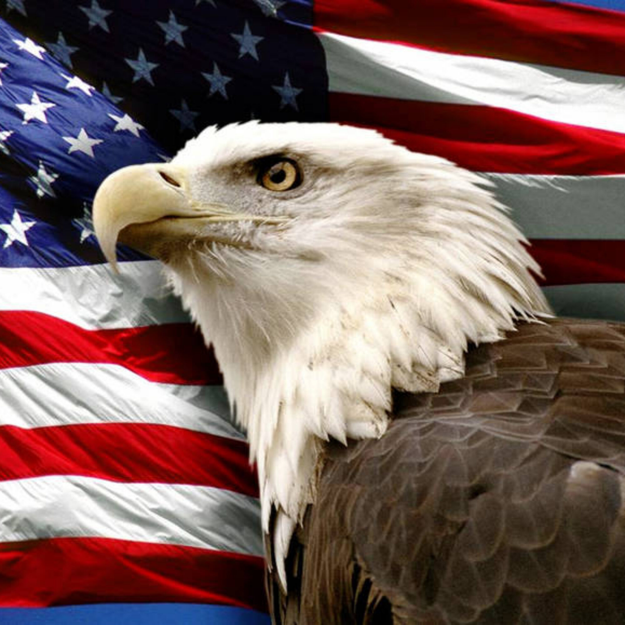Am I the only one who sees these problems with America’s liberals, conservatives, and libertarians?