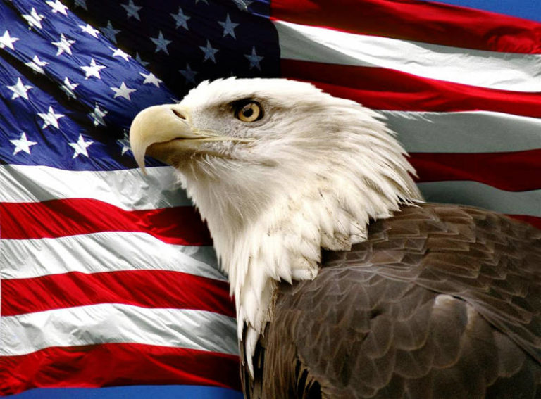 205: Notes to a Future President