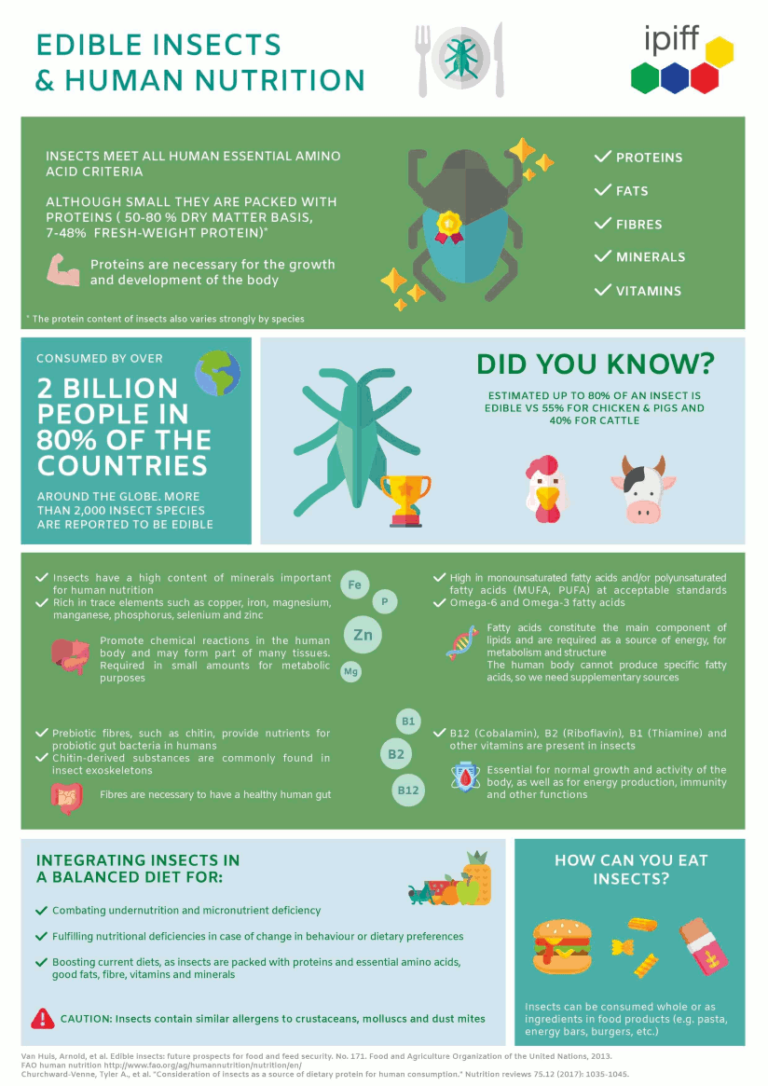 222: Why Eat Insects?