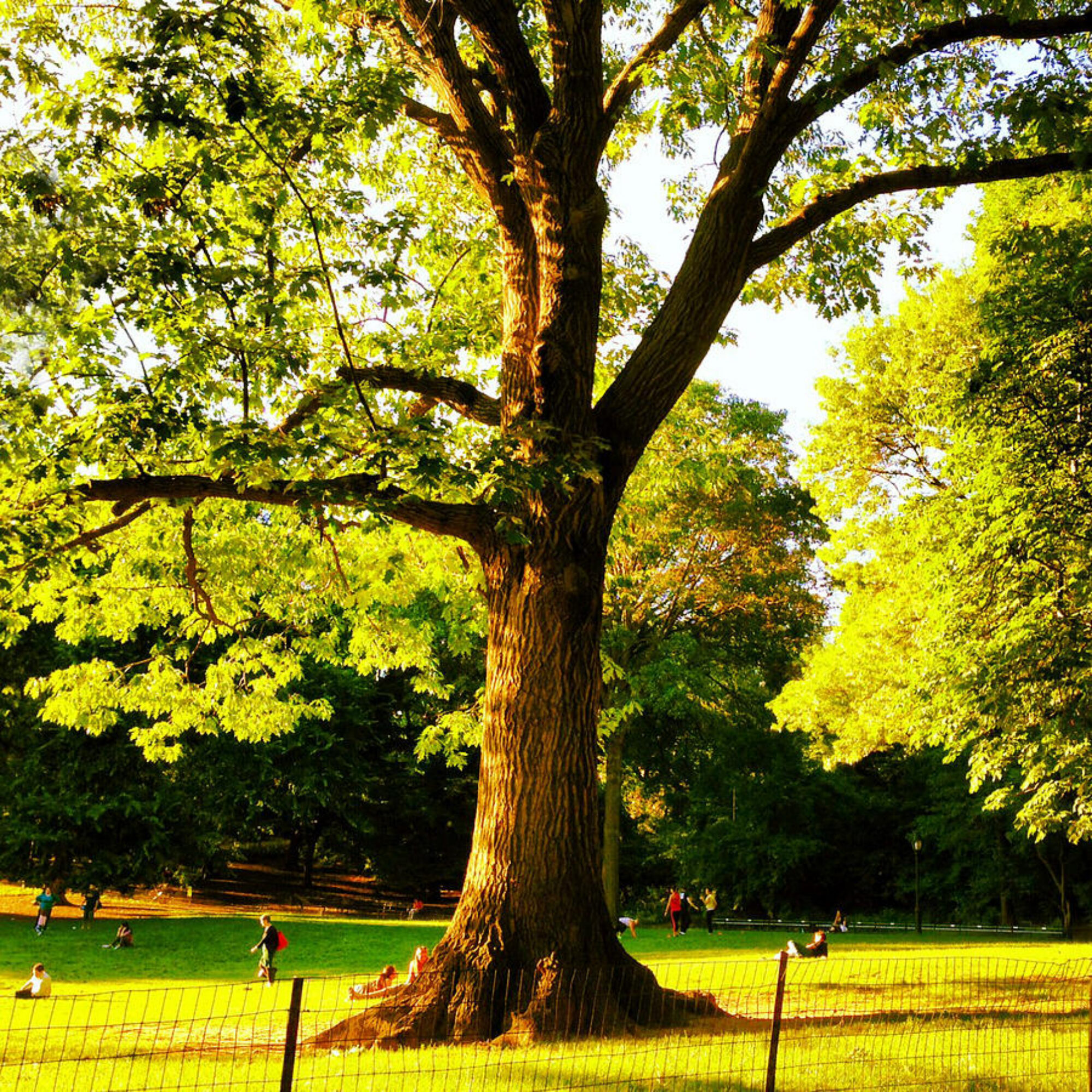 We know less about nature and science than ever