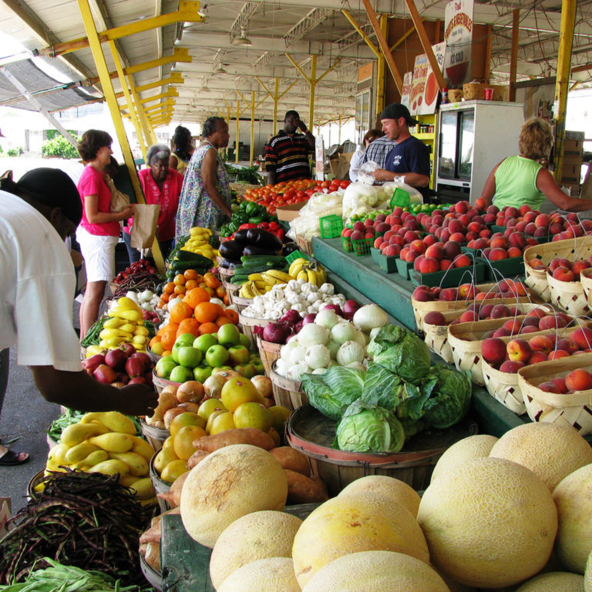 Solutions to Food Waste