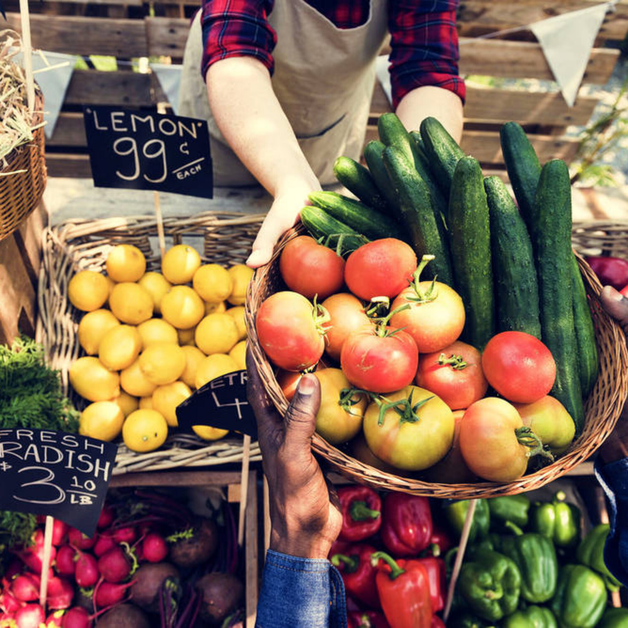 Why Food Is Not Medicine