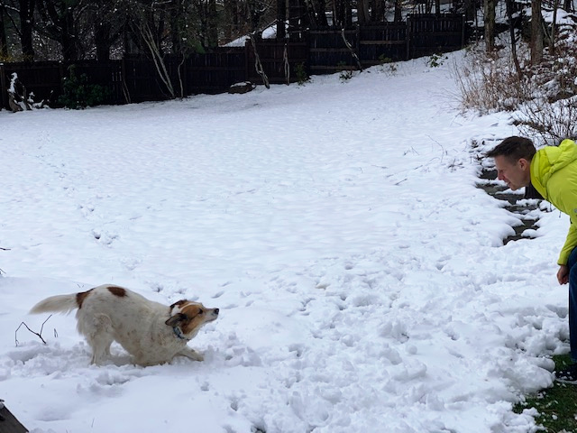Joshua Spodek and Rosie in the snow