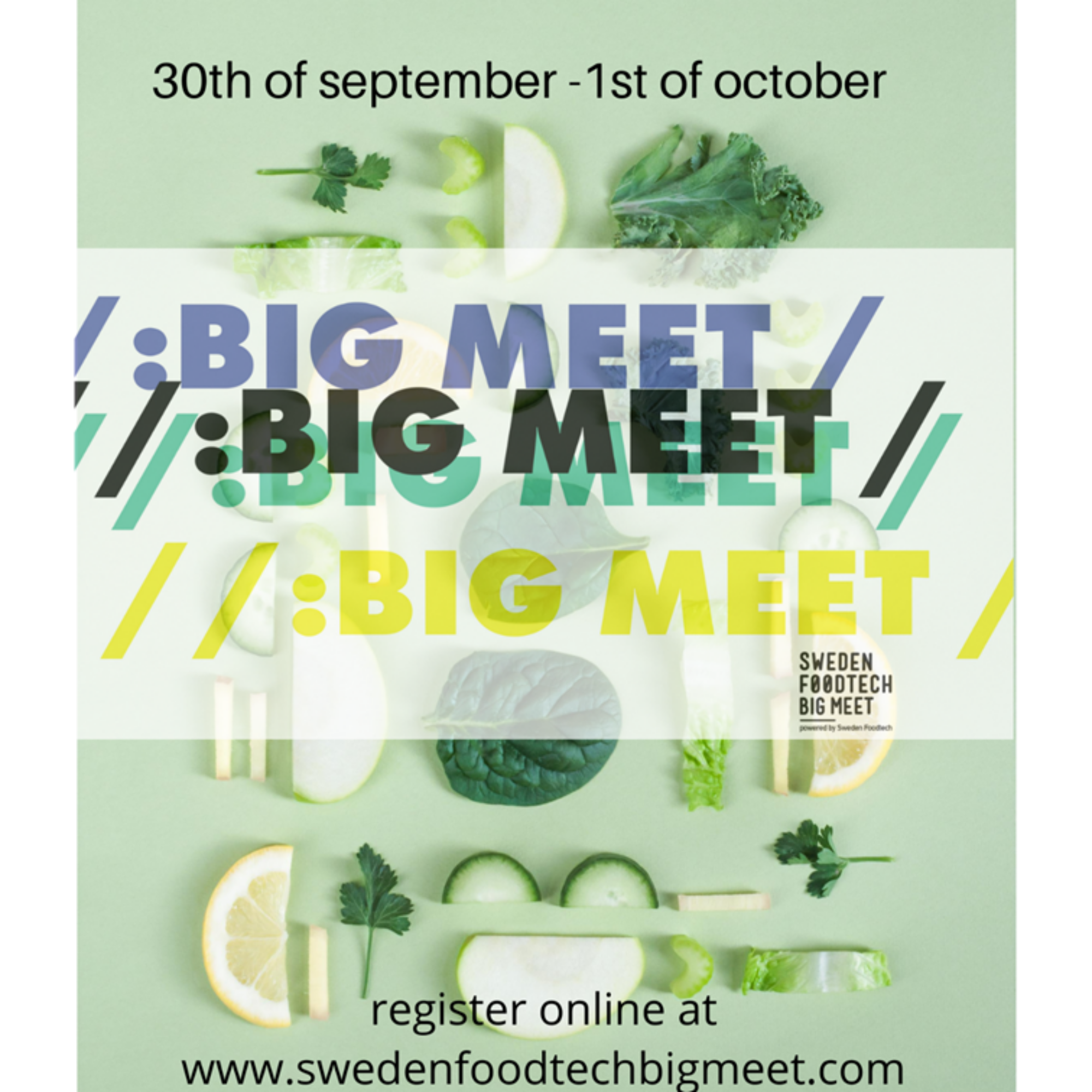 My keynote and panel at Swedish Food Tech’s Big Meet
