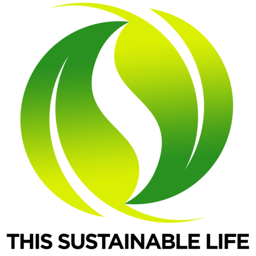 New Yorkers: Join Workshop Graduate Emily Wang’s Own Workshop on Sustainable Building 9/14 or 9/15! &raquo; Joshua Spodek Avatar