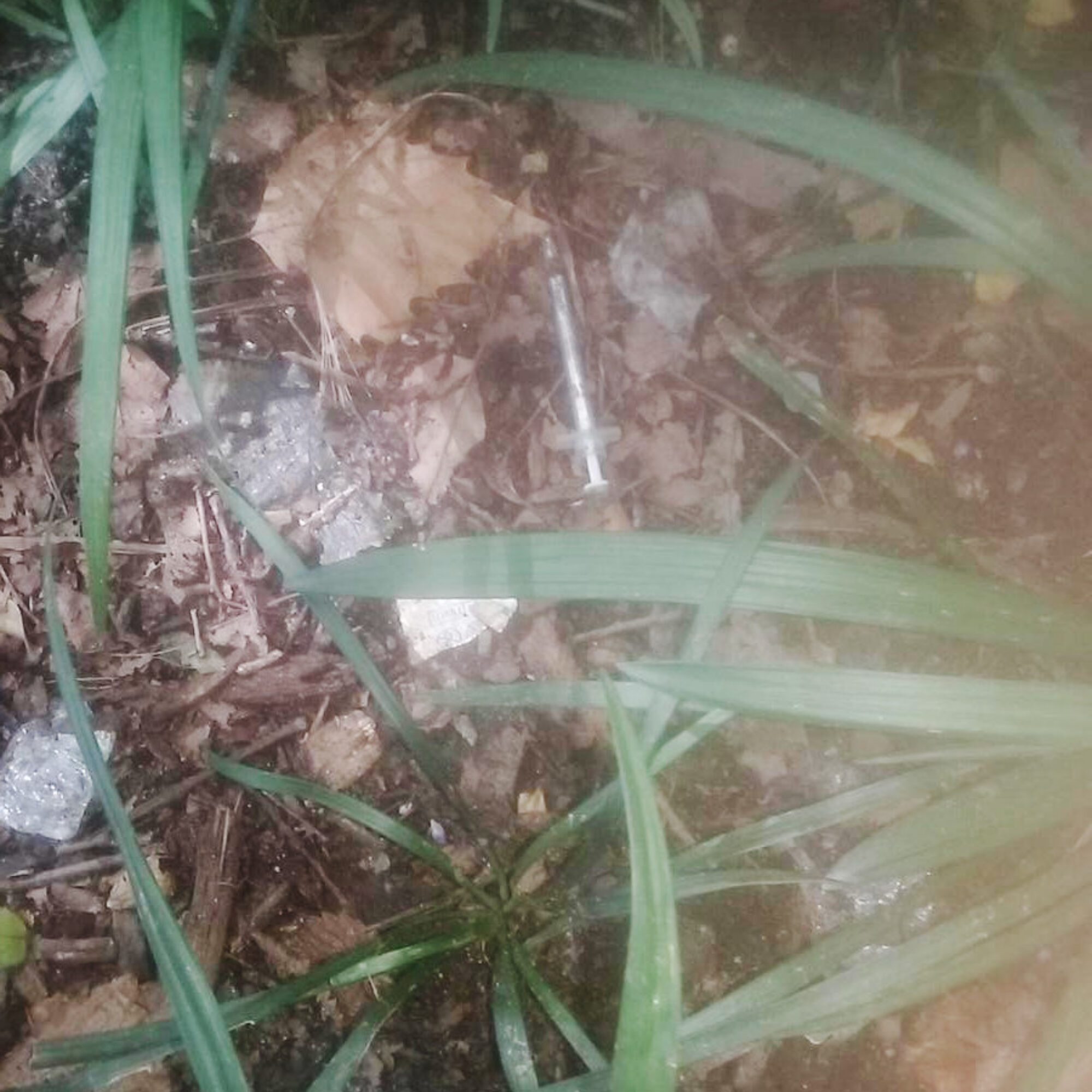 Used syringes littering my neighborhood