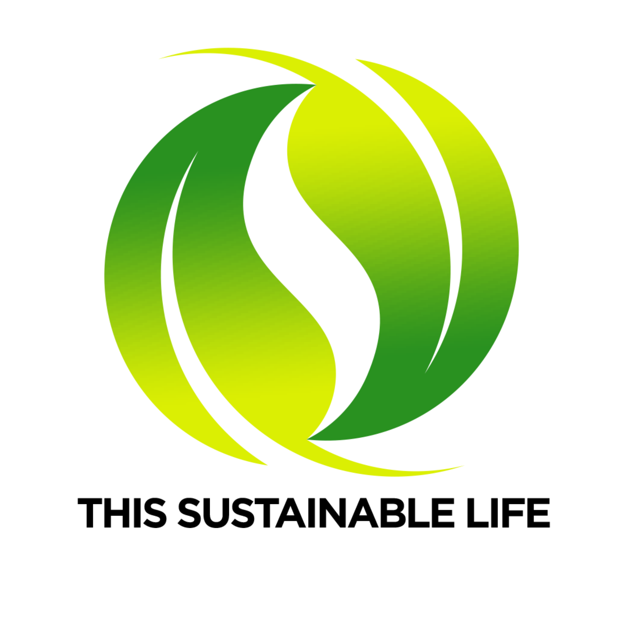 Check out this review of my workshop on sustainability leadership
