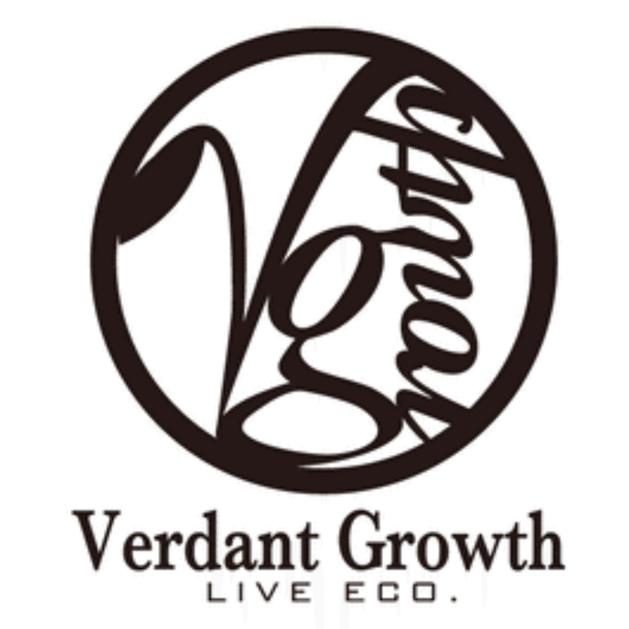A recent video overview on sustainability leadership