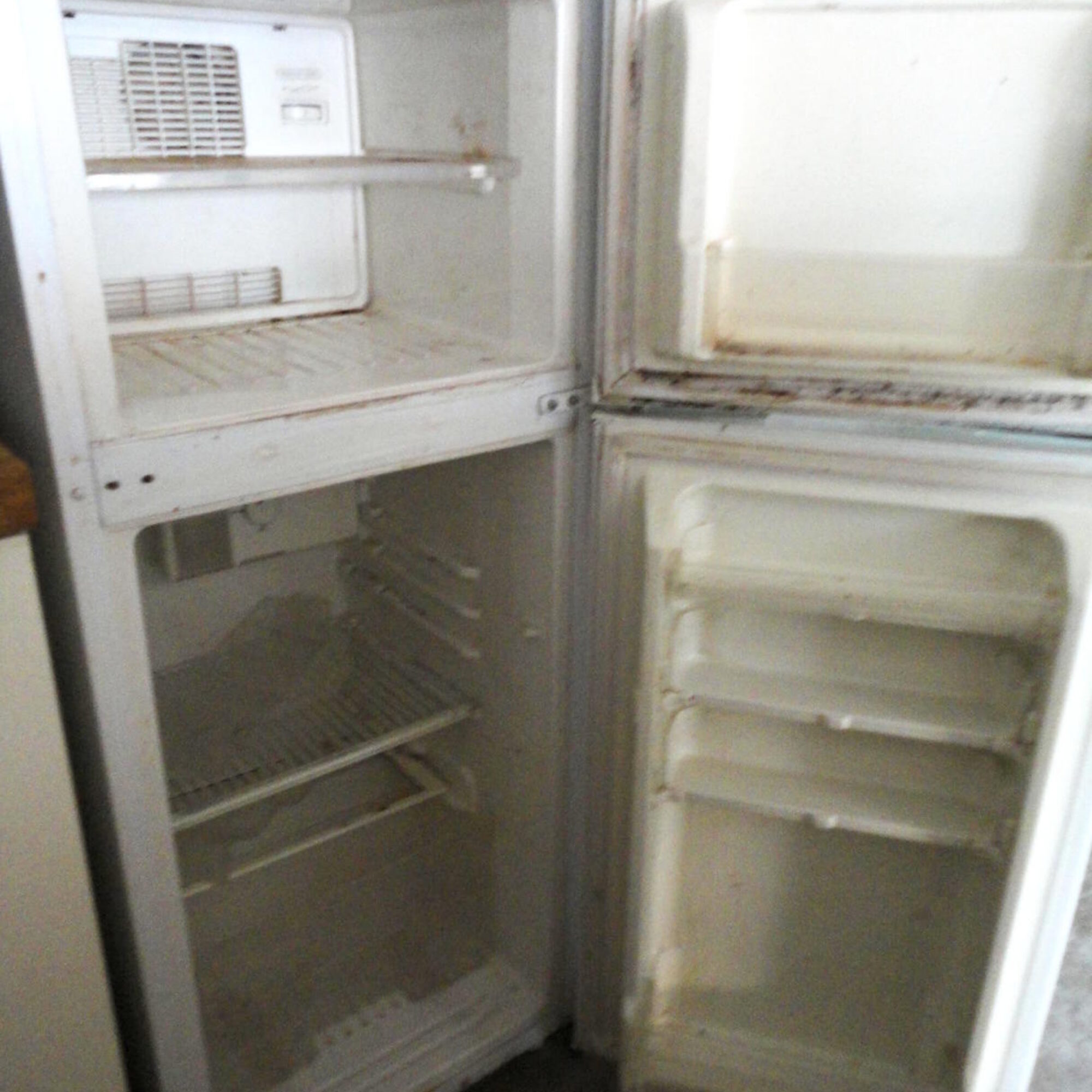 Proposal for a New Holidays: “Fall Unplug the Fridge Day” and “Spring Plug-in Day”