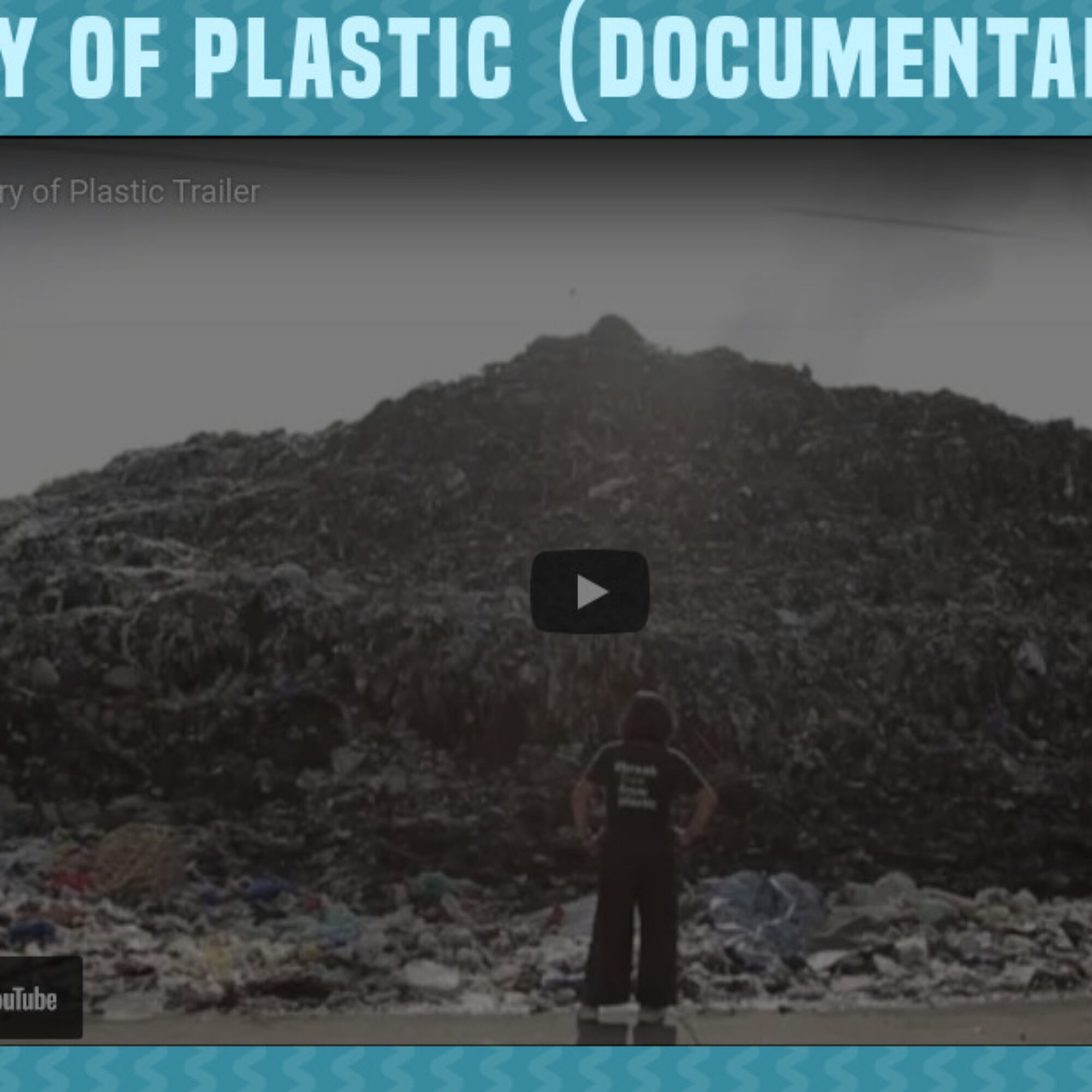 The Story of Plastic Animated Short Video