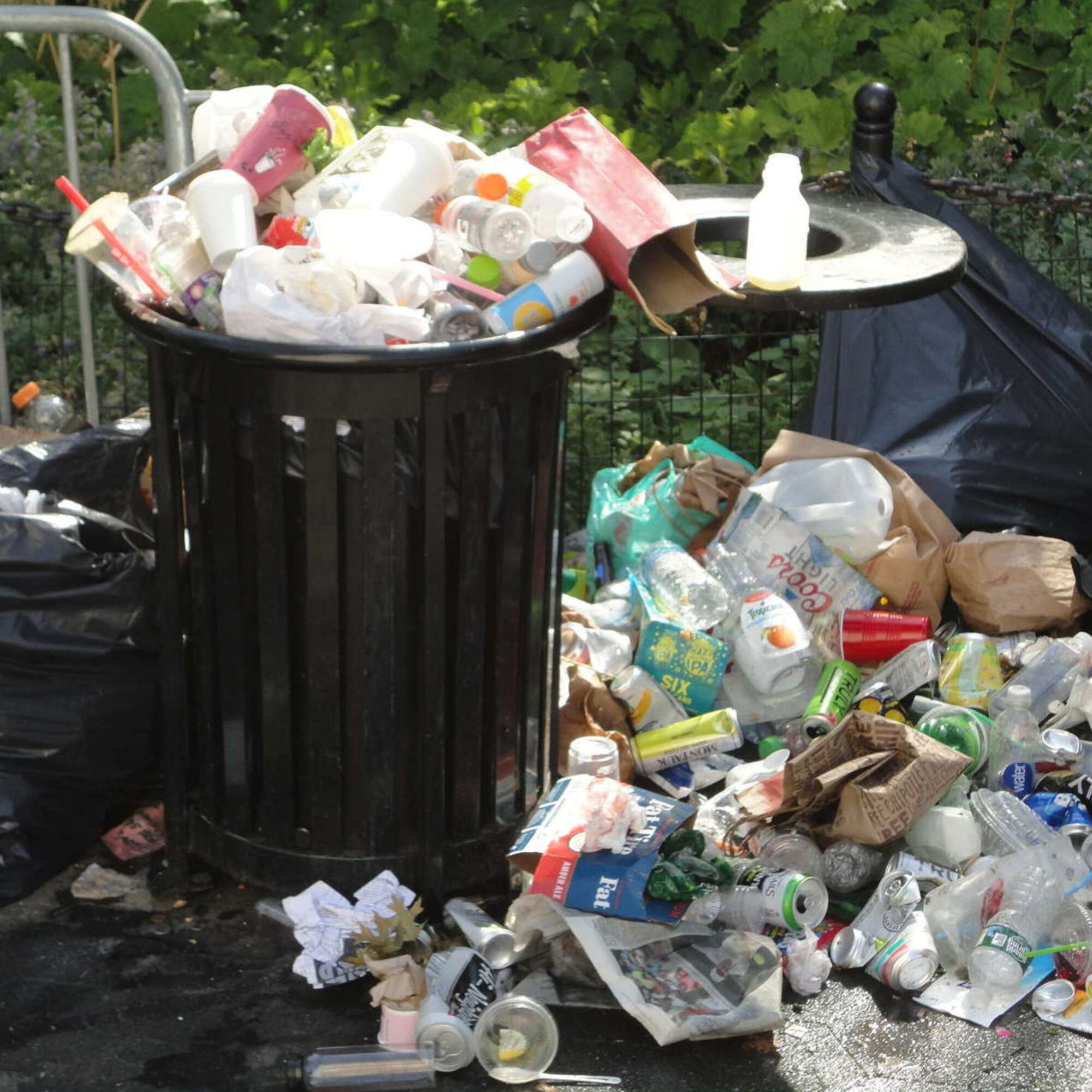 The Struggle of Living Sustainably in a Society That Supports It in Word But Opposes It in Deed