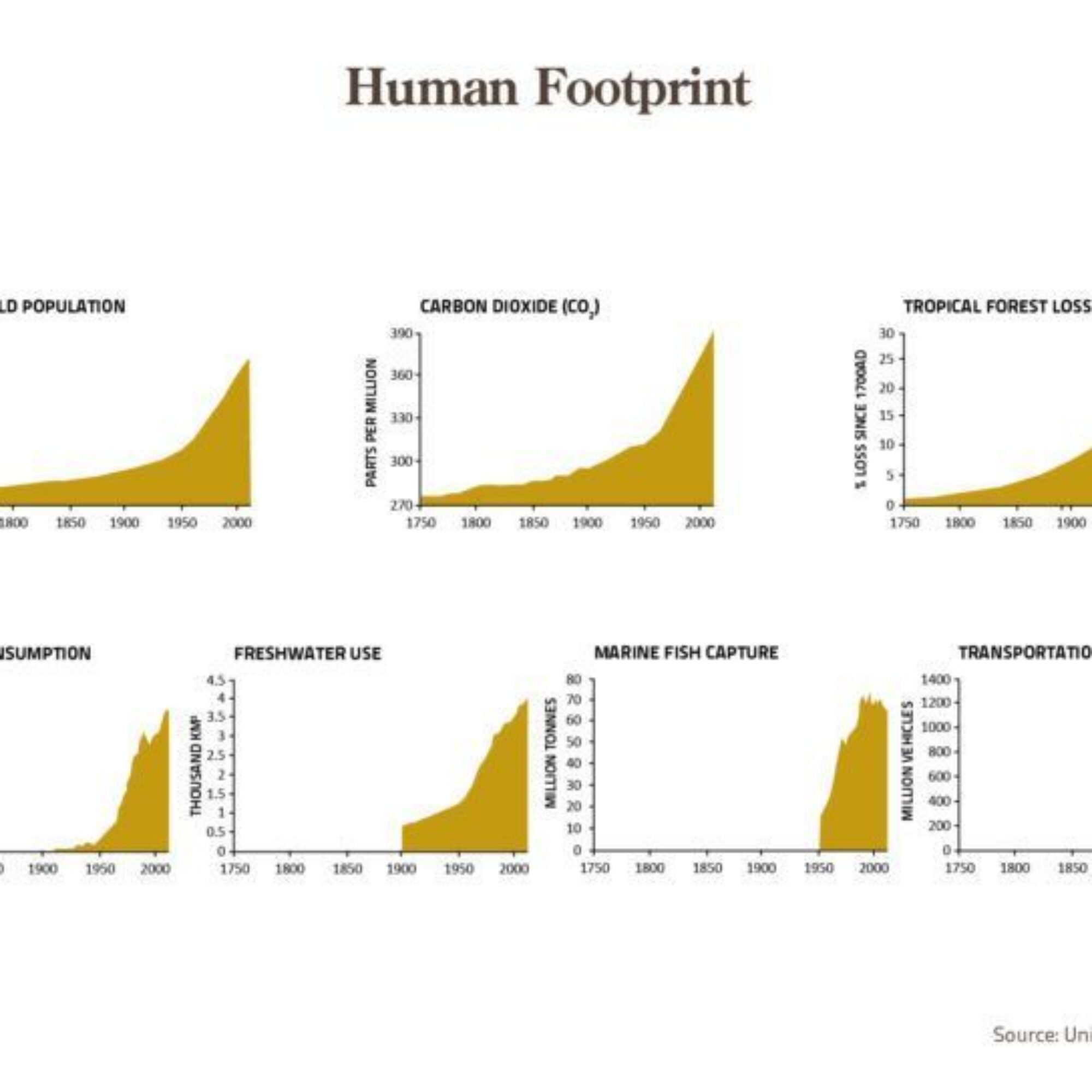 Signs of Overpopulation