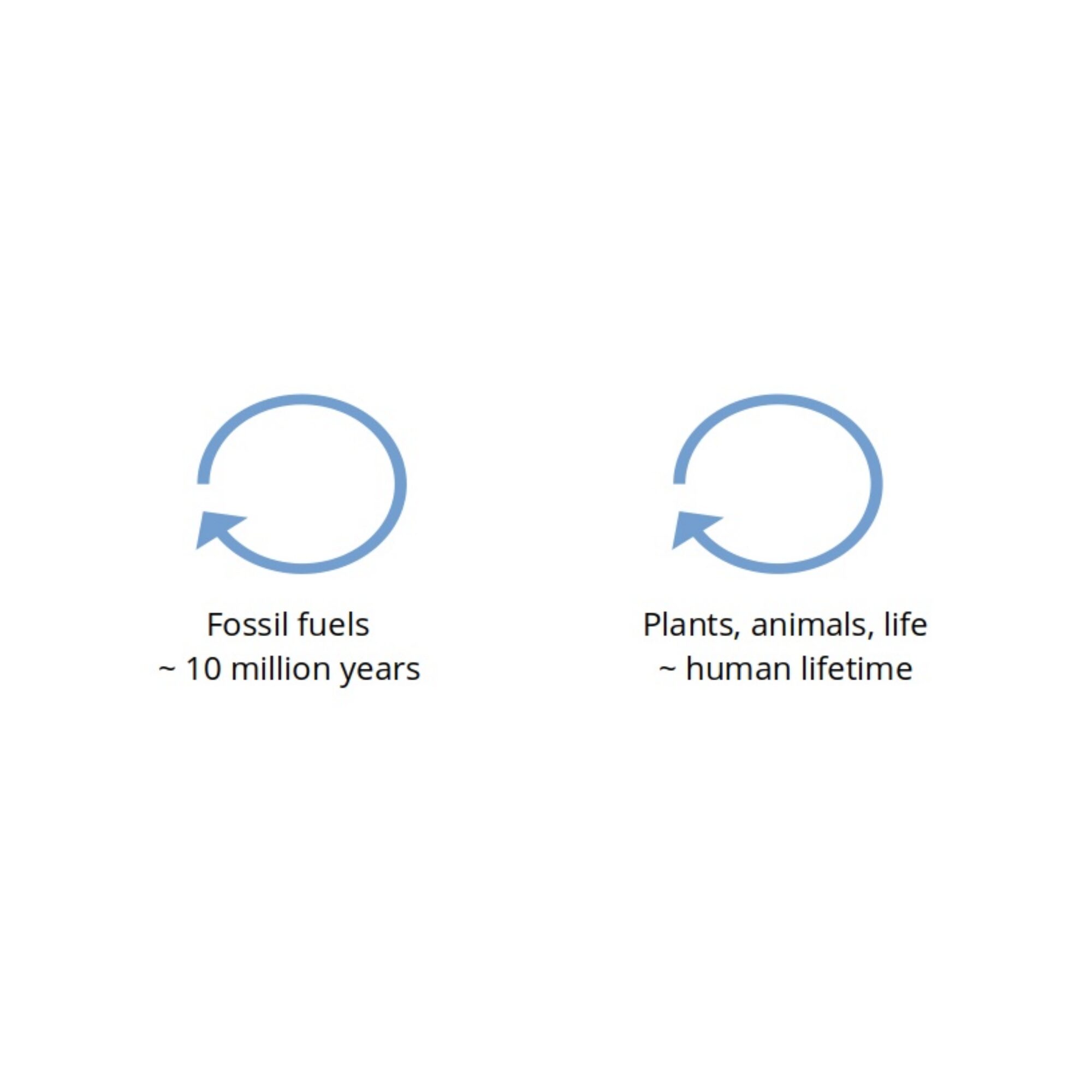Know the 2 carbon cycles and don’t confuse them.